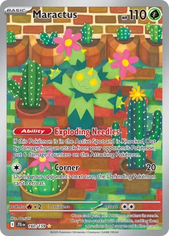 Maractus
