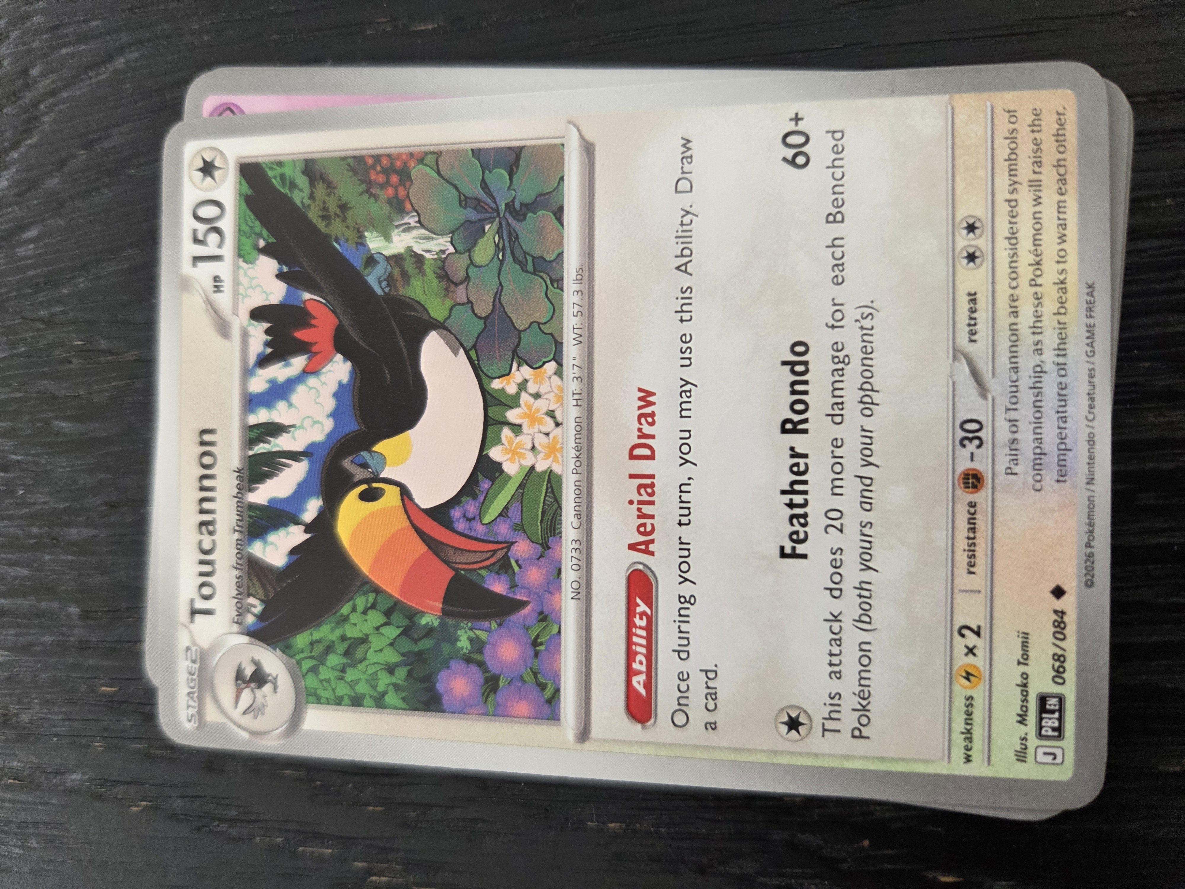 Toucannon foto 1