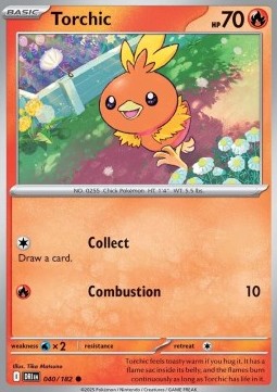 Torchic foto 1
