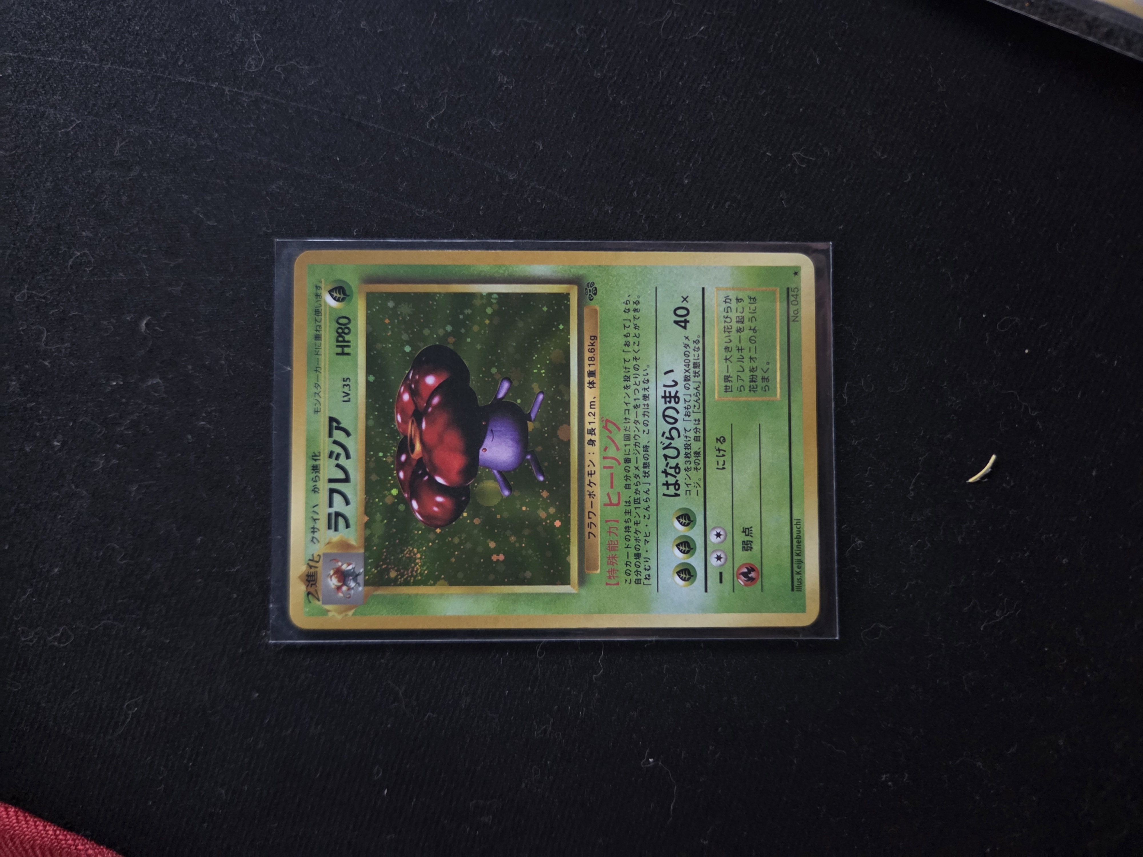 Vileplume foto 1