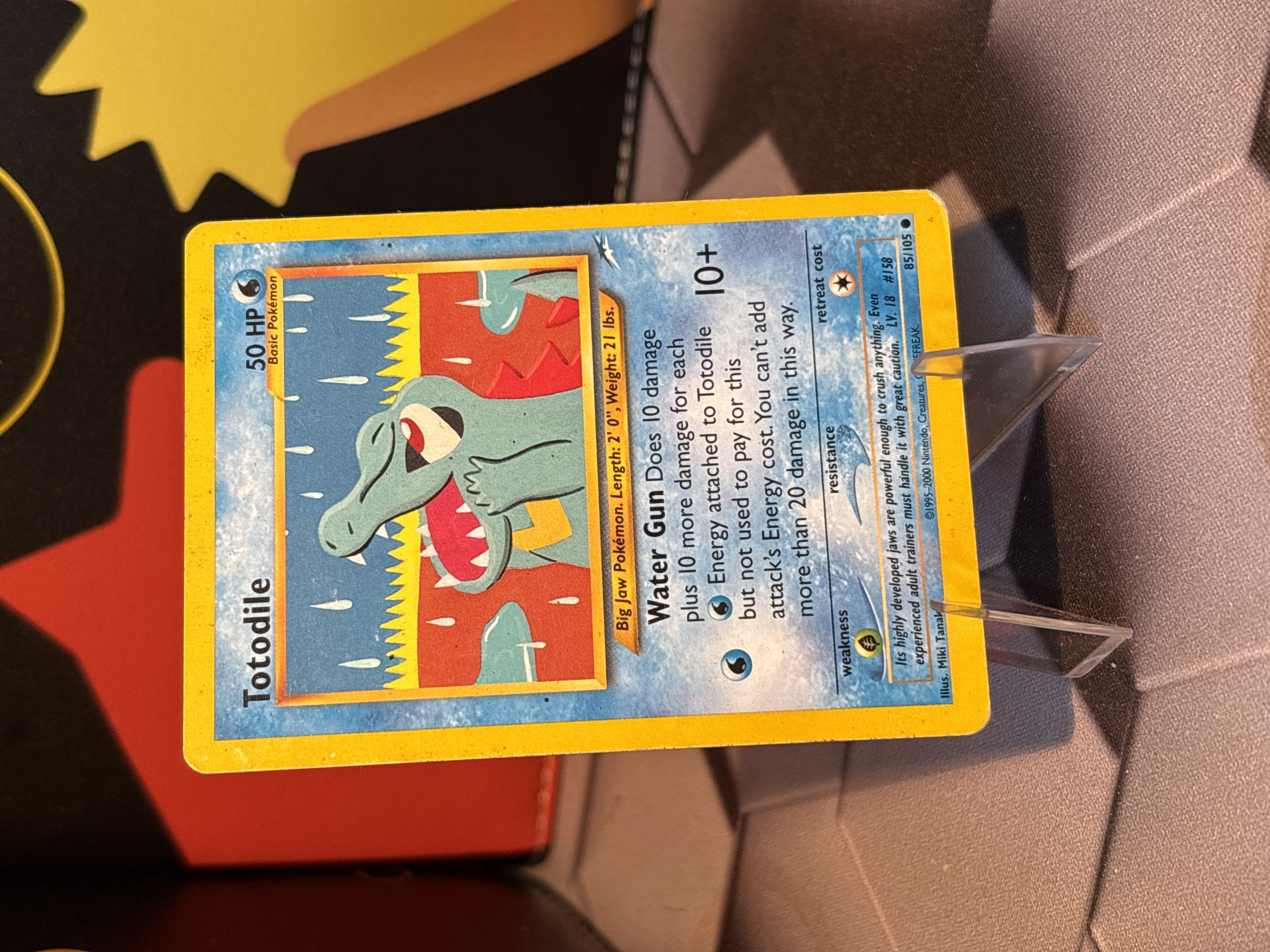 Totodile foto 1