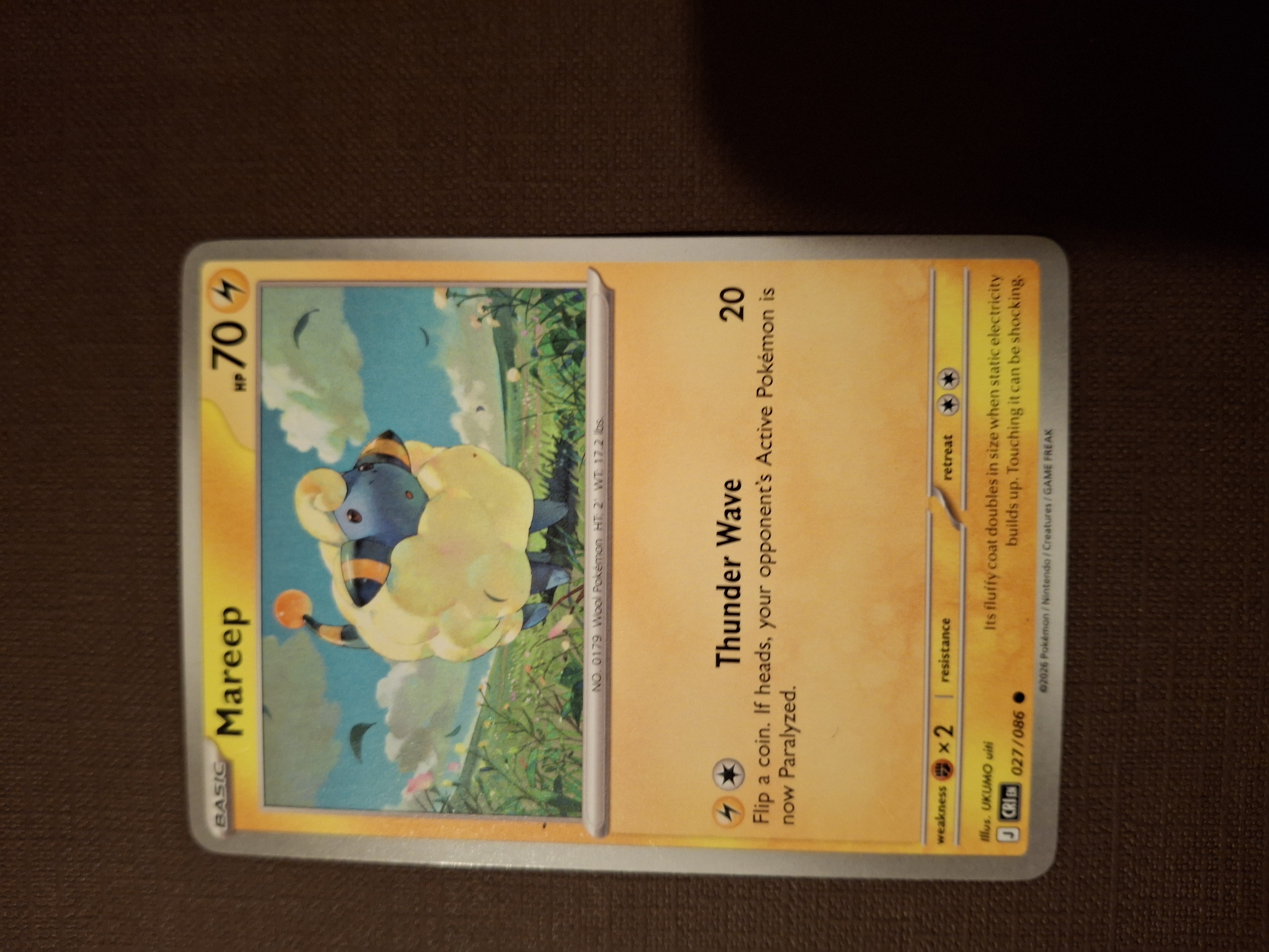 Mareep