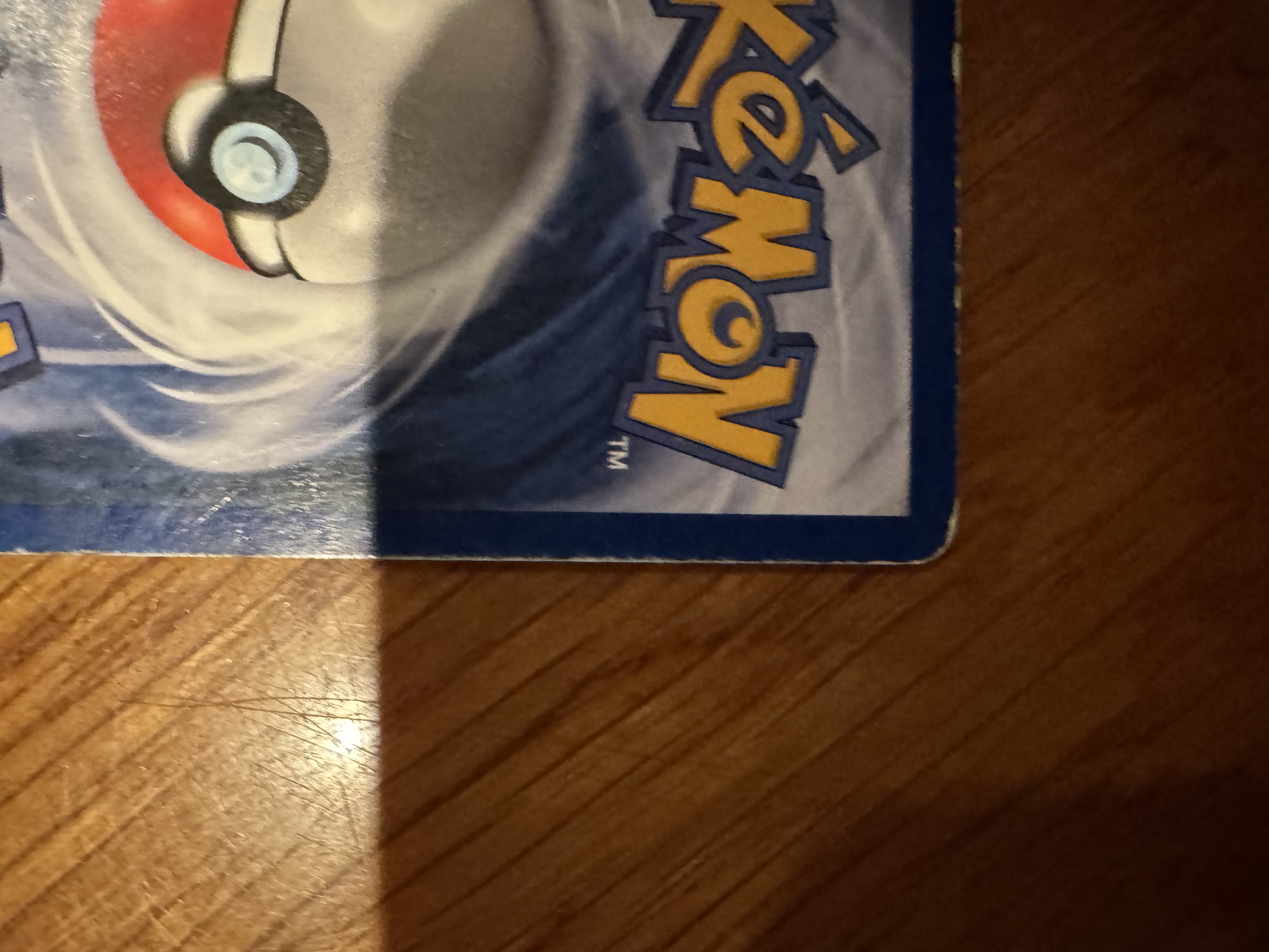 Articuno foto 8
