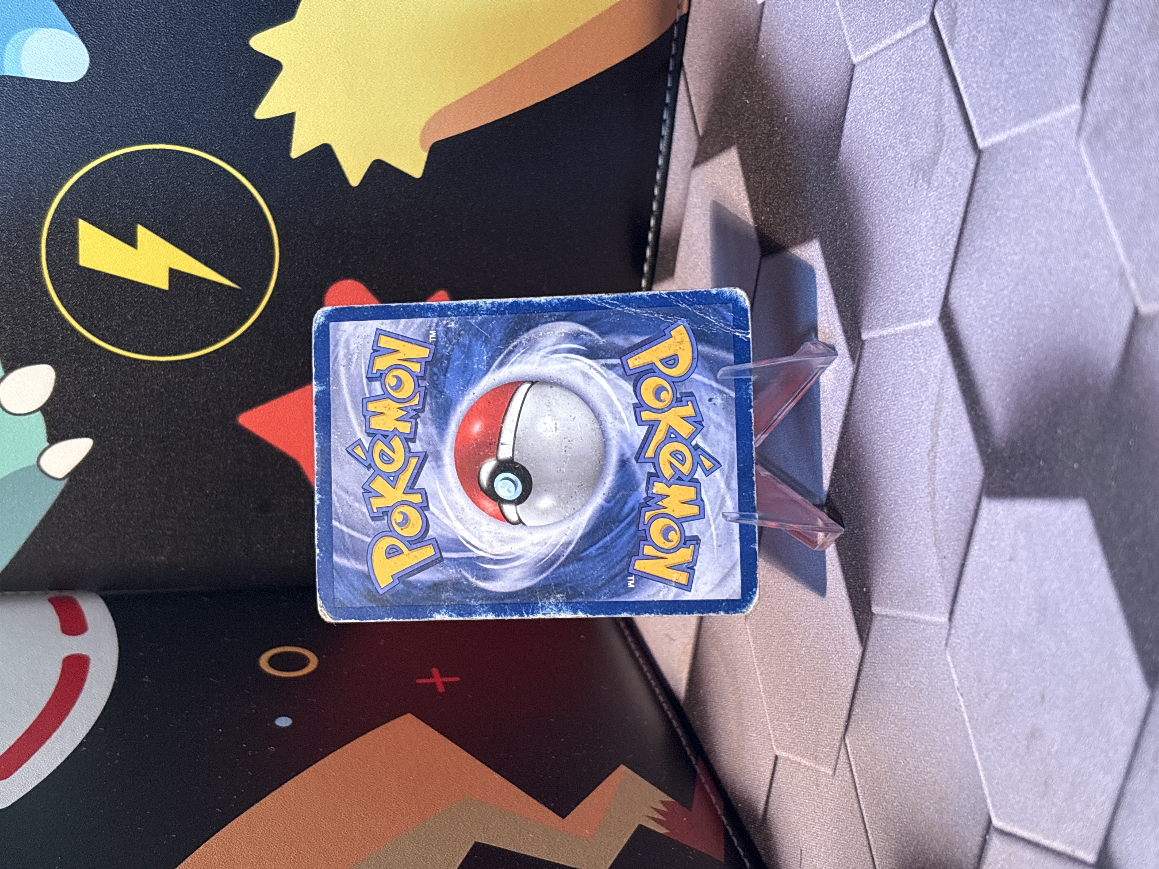 Ponyta foto 2