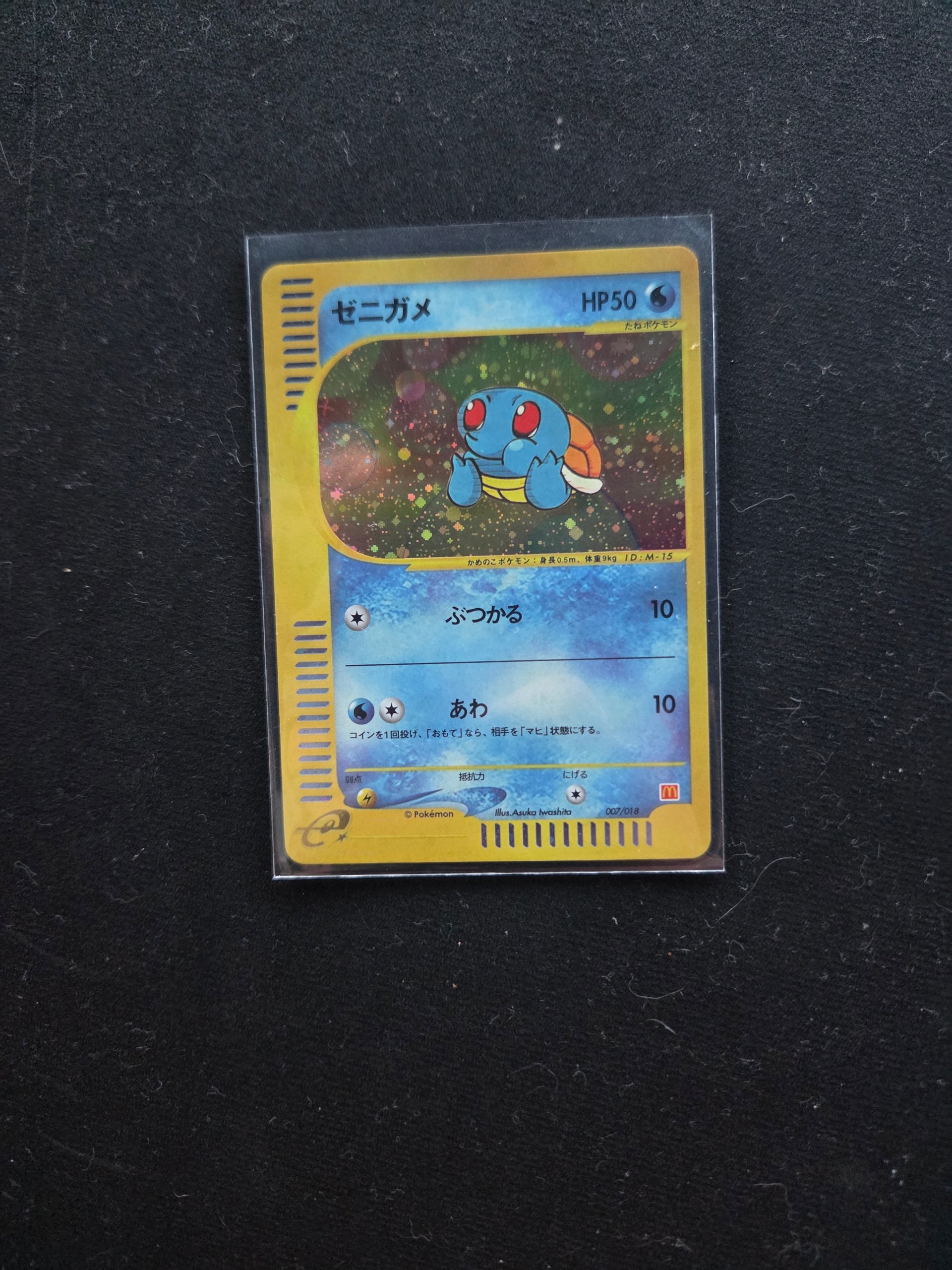 Squirtle foto 1