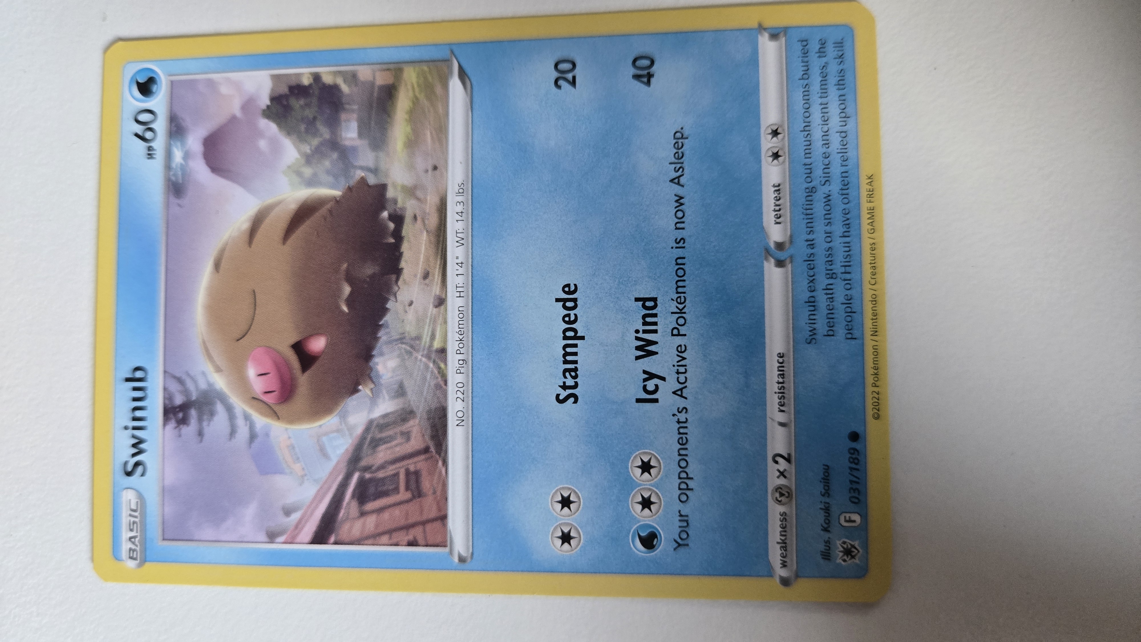 Swinub foto 1