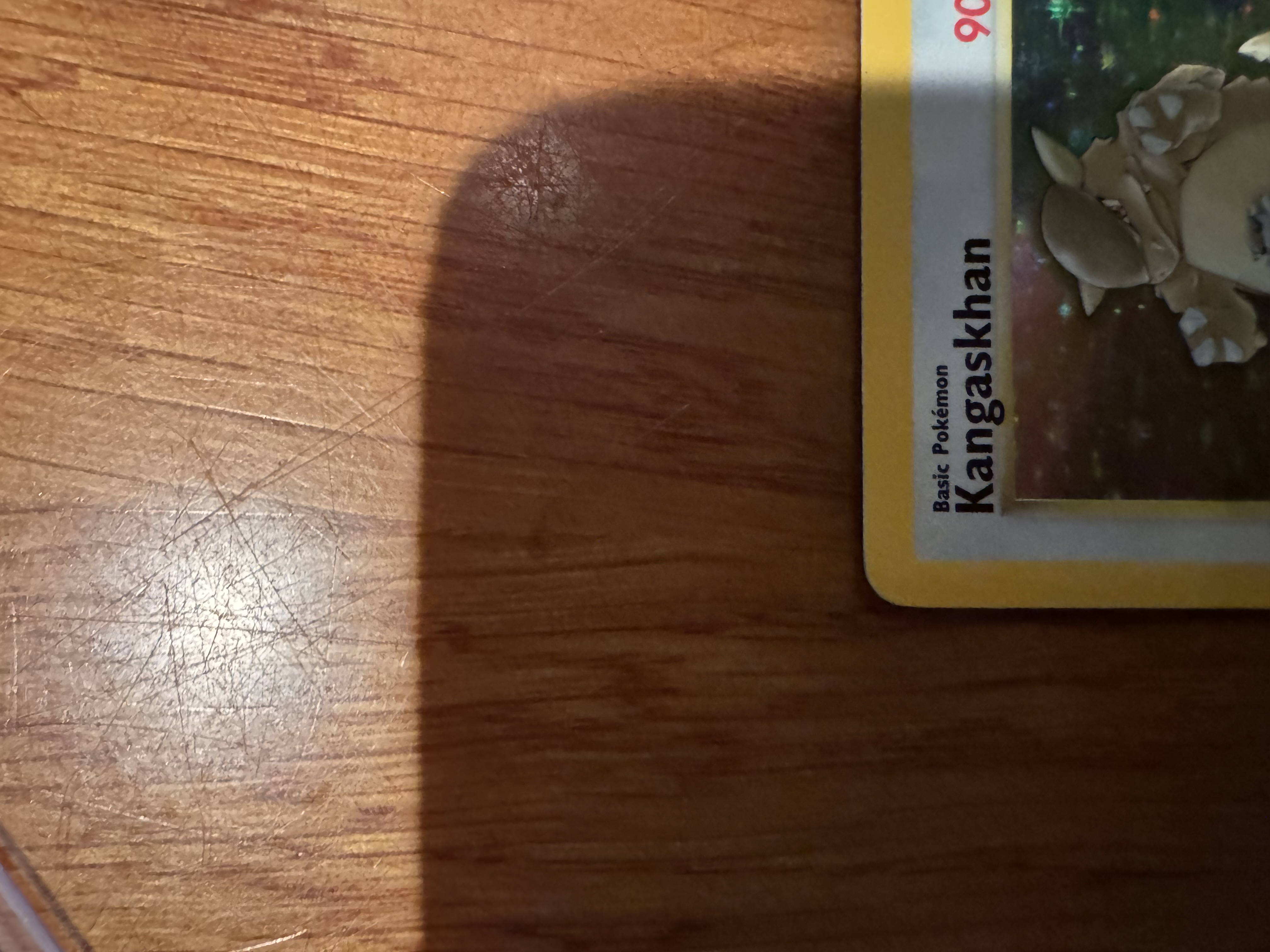 Kangaskhan foto 9
