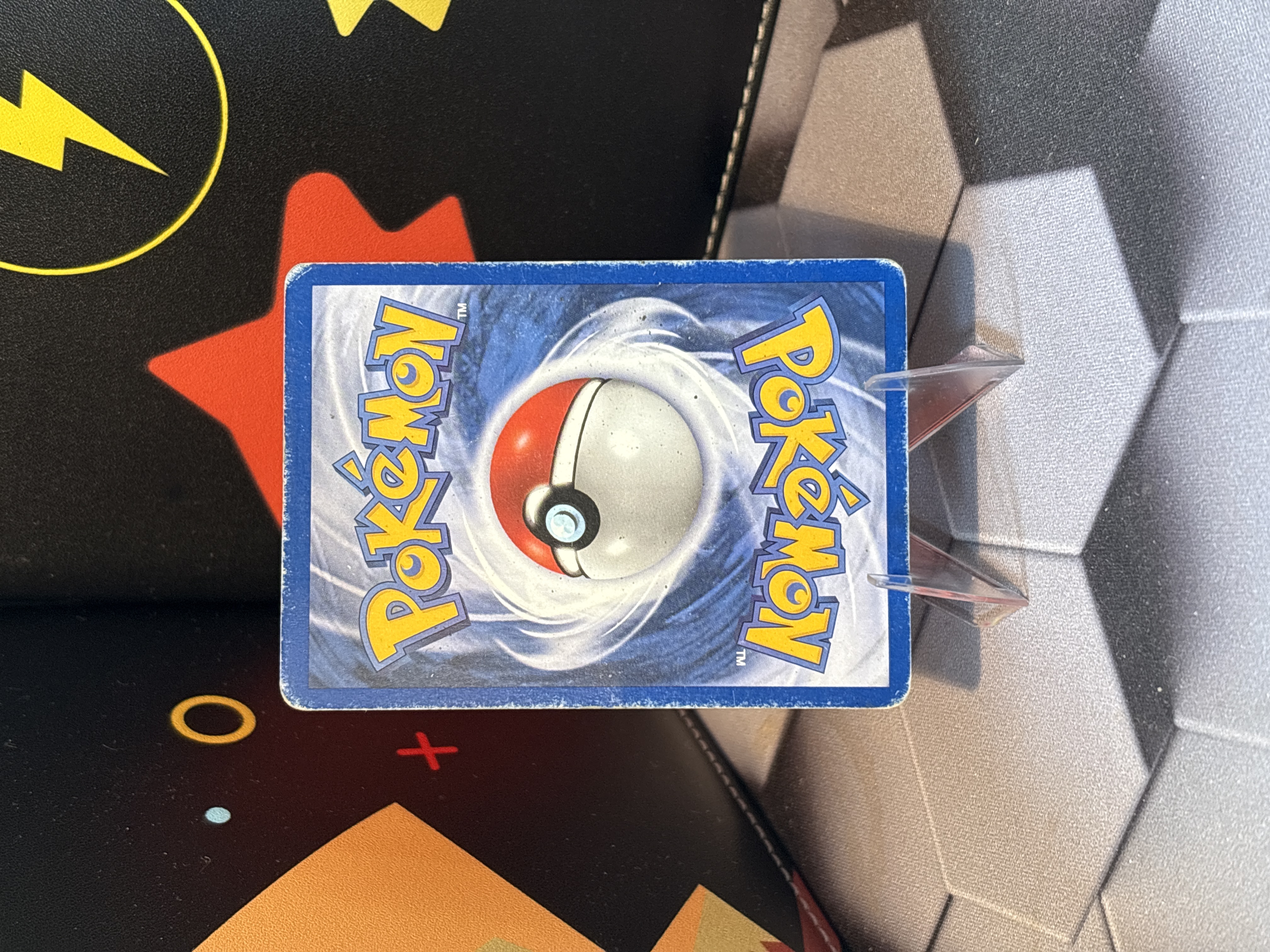 Chikorita foto 2