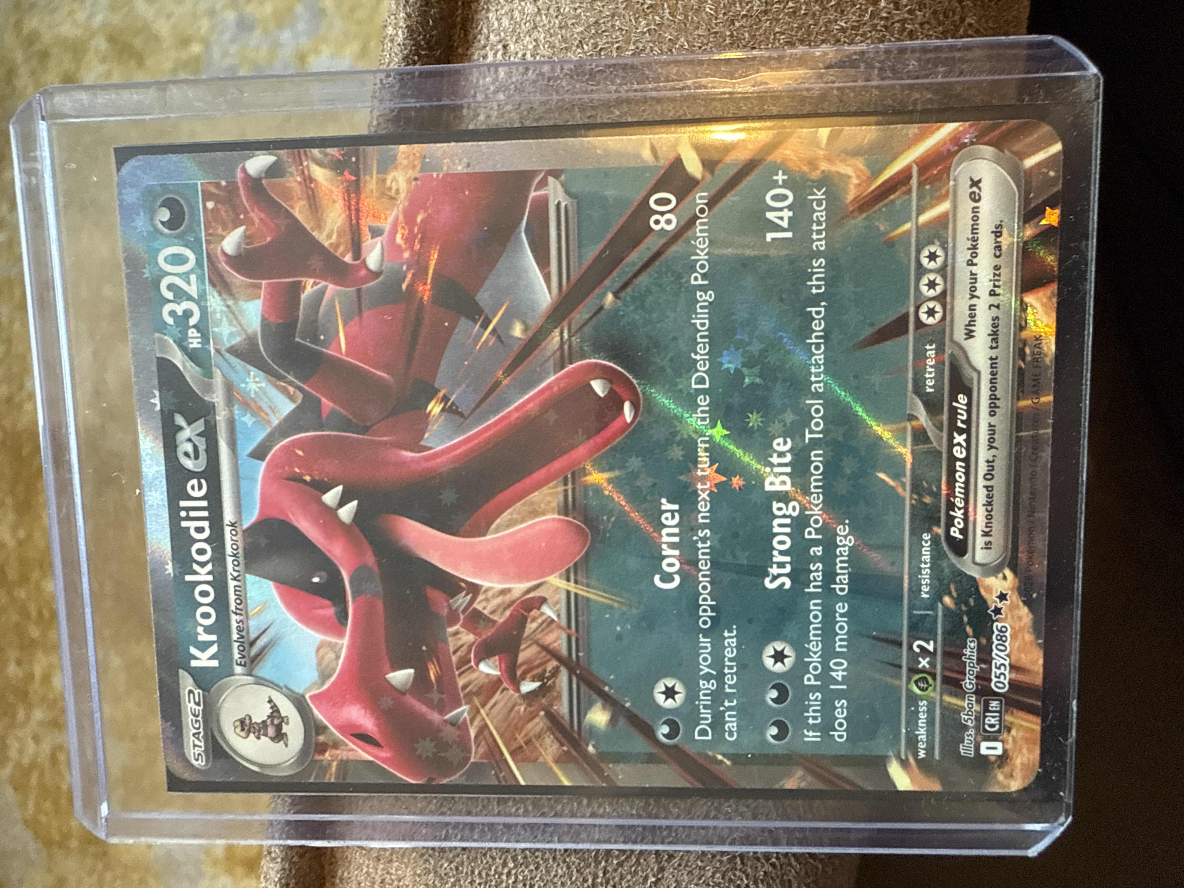 Krookodile ex foto 3