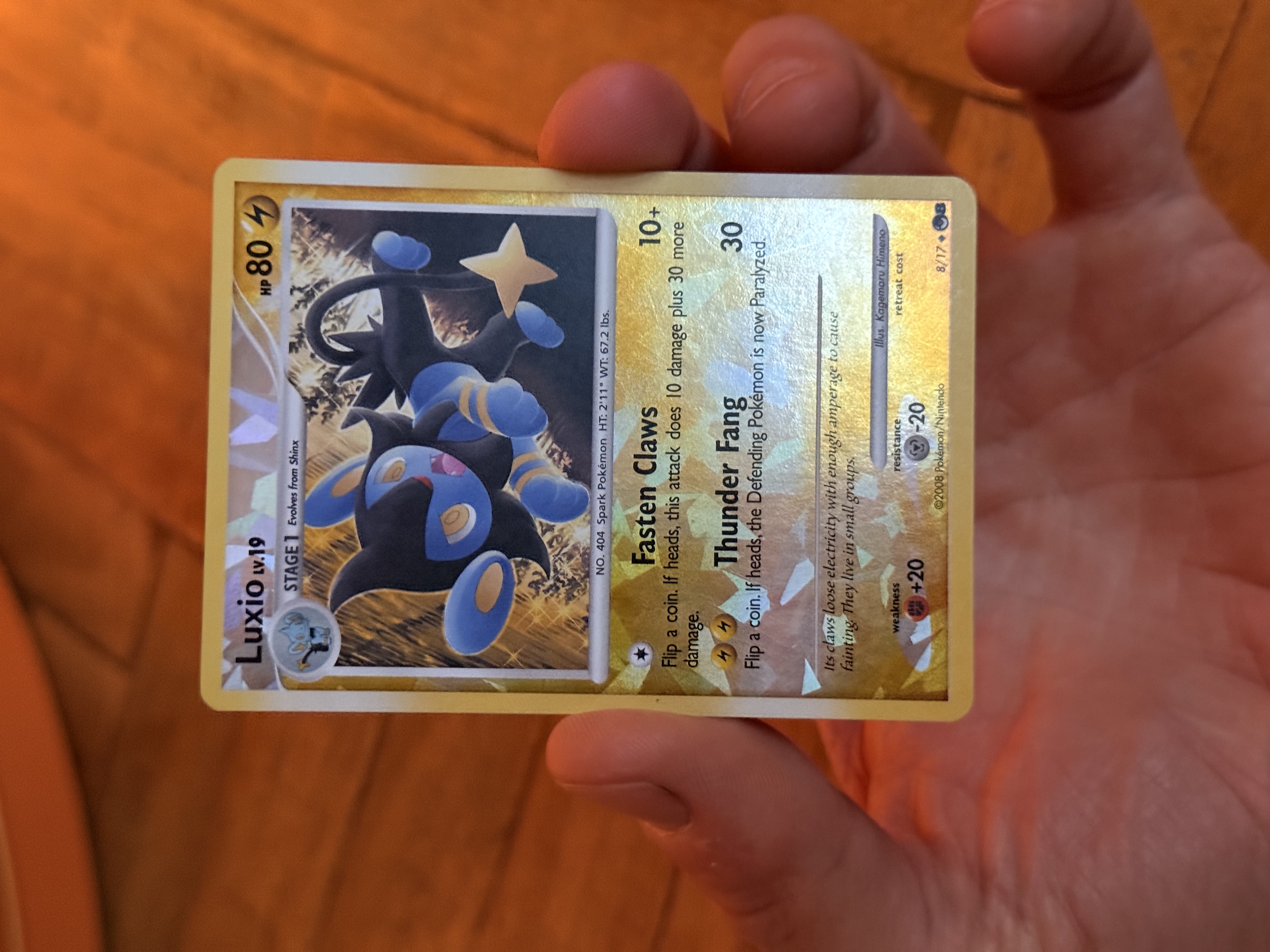 Luxio foto 1