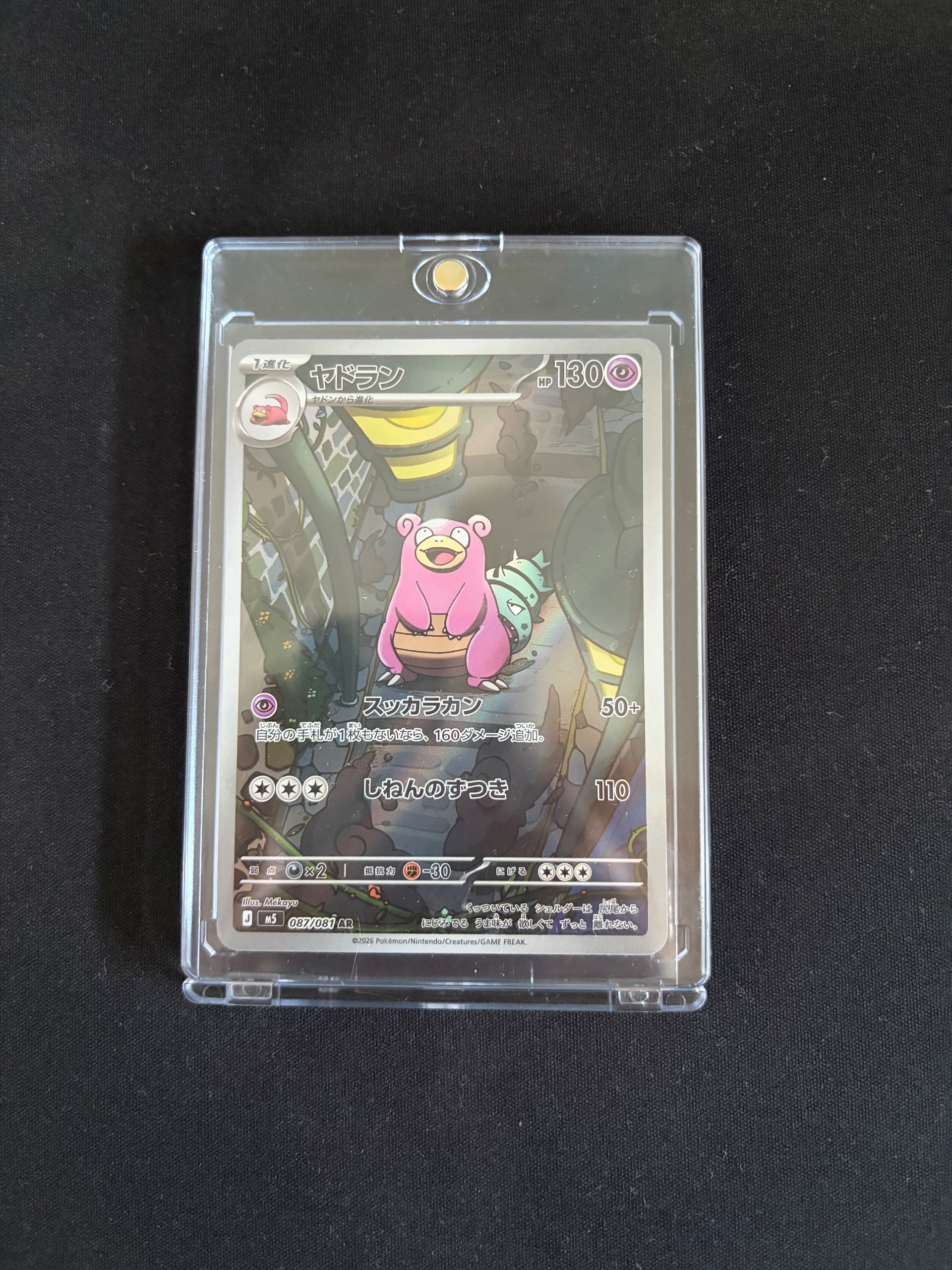 Slowbro foto 1