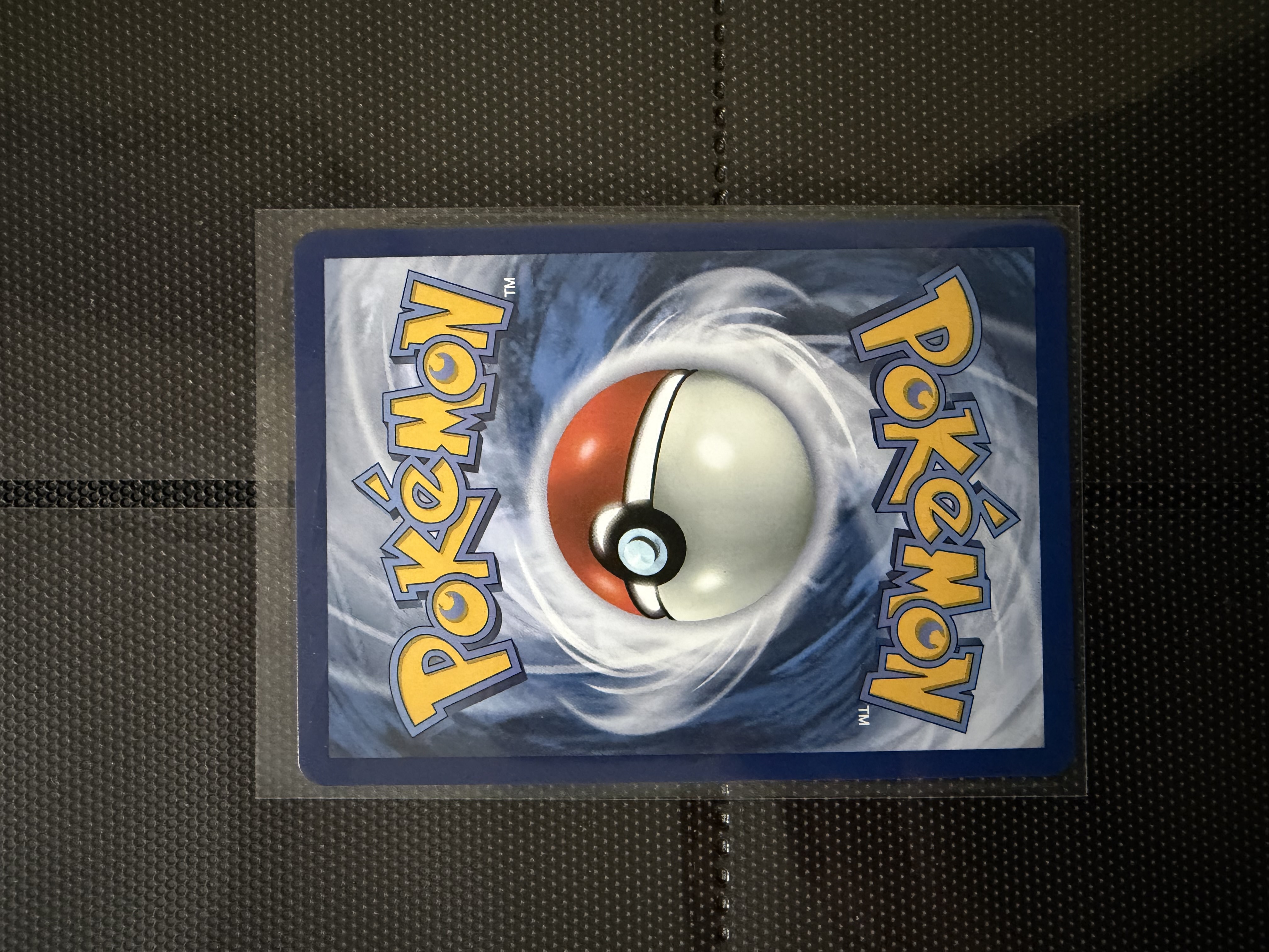 Dewgong foto 4
