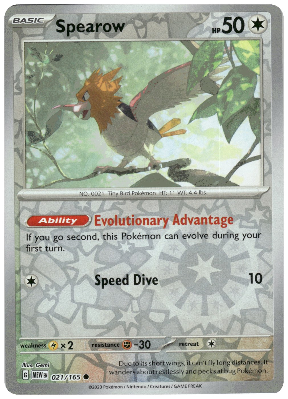 Spearow foto 1