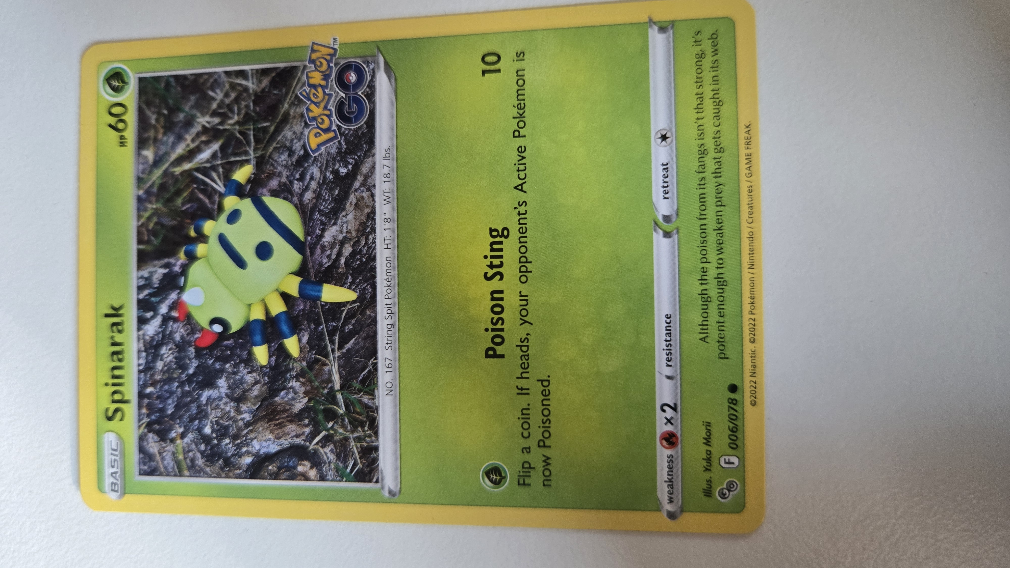 Spinarak foto 1