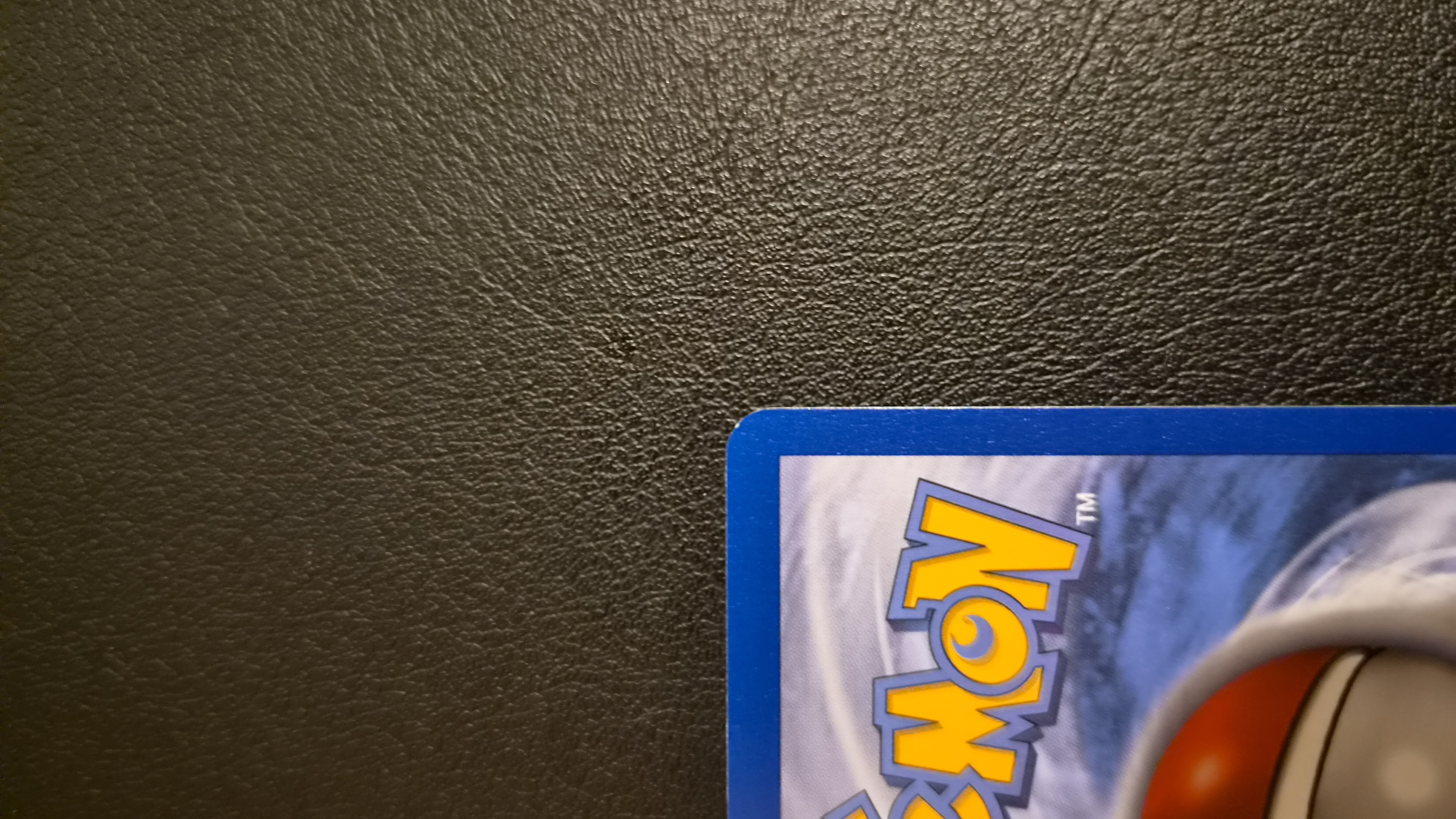 Pikachu foto 8