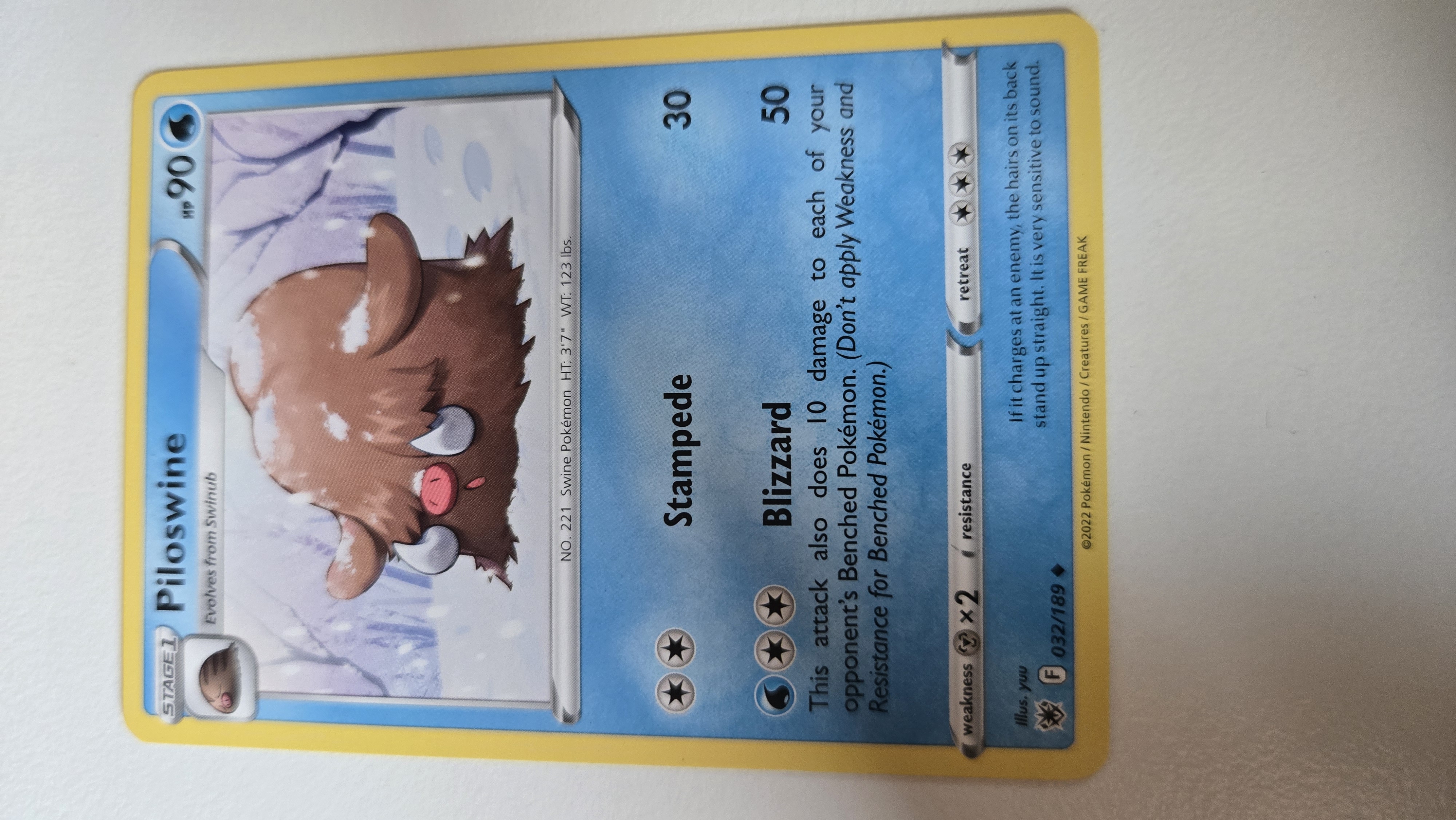 Piloswine foto 1