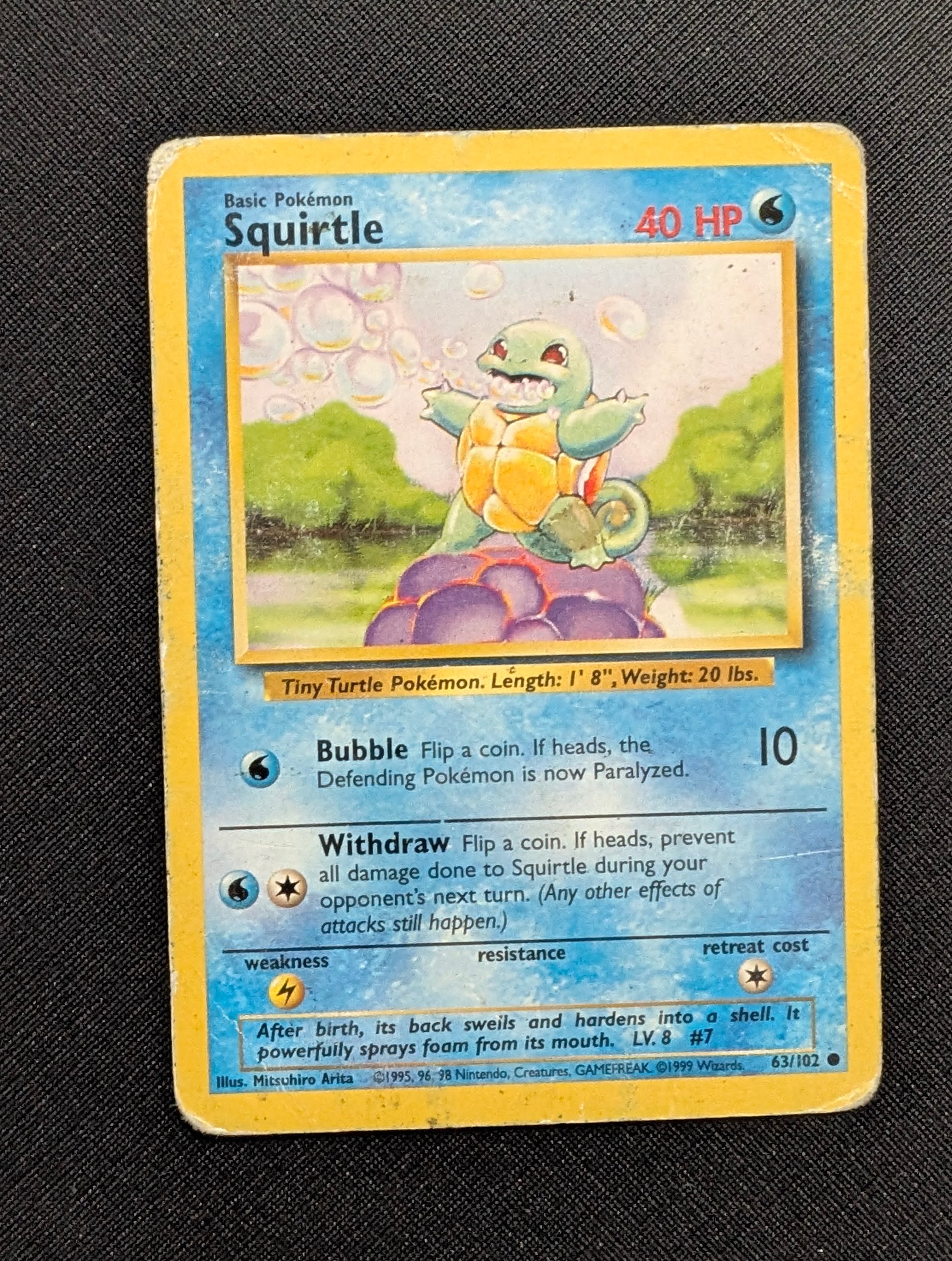 Squirtle foto 1