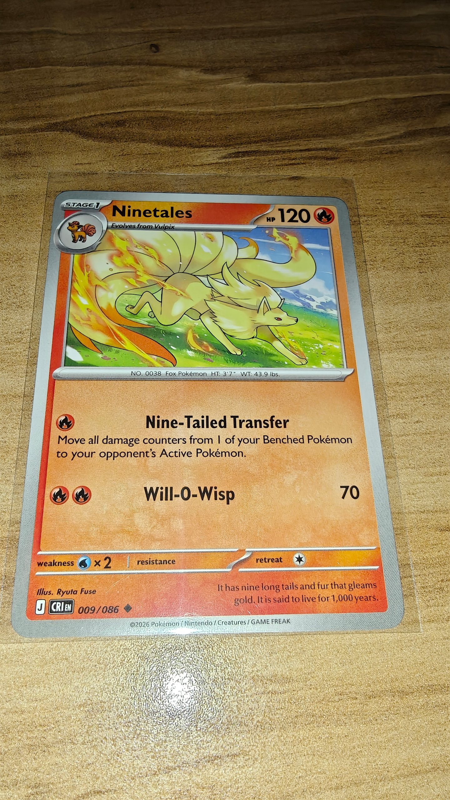 Ninetales foto 2