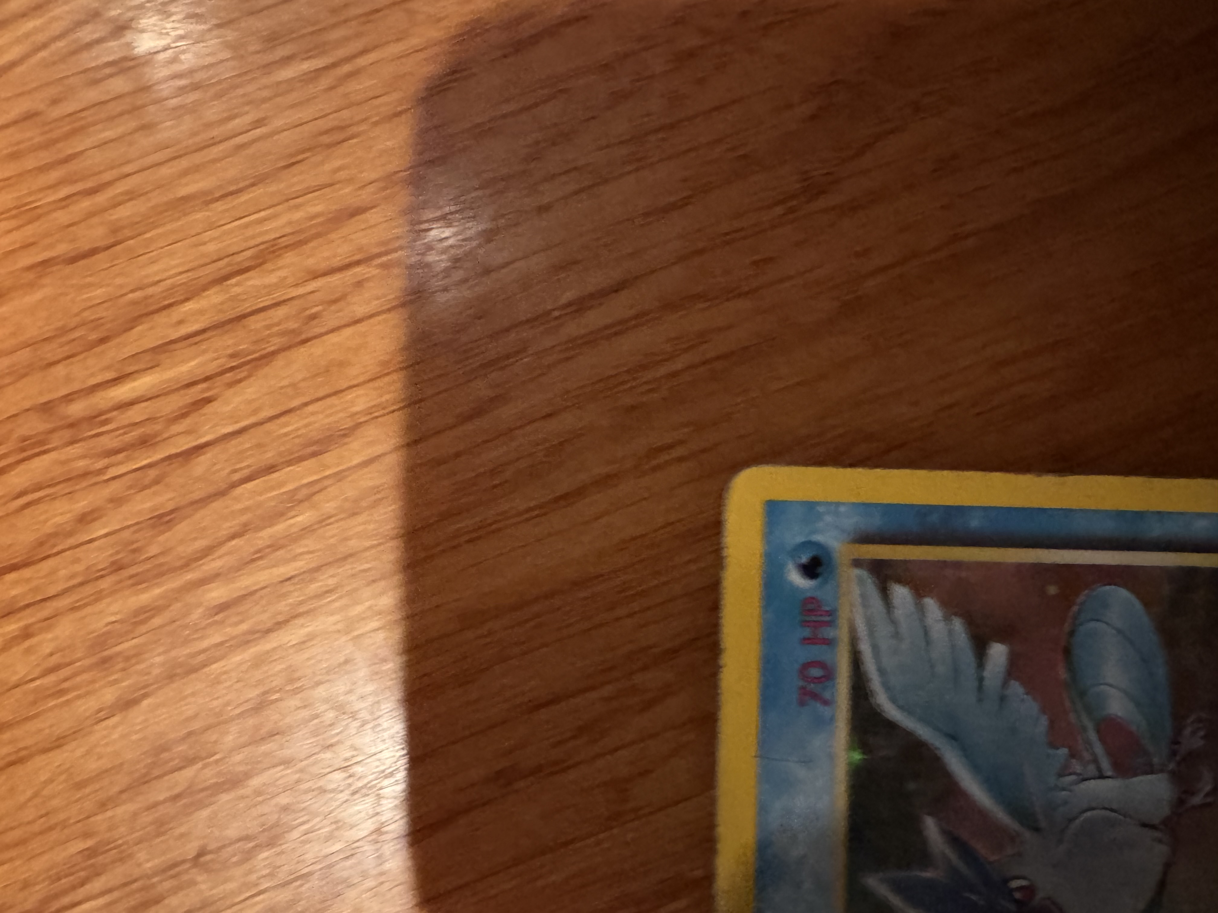 Articuno foto 5