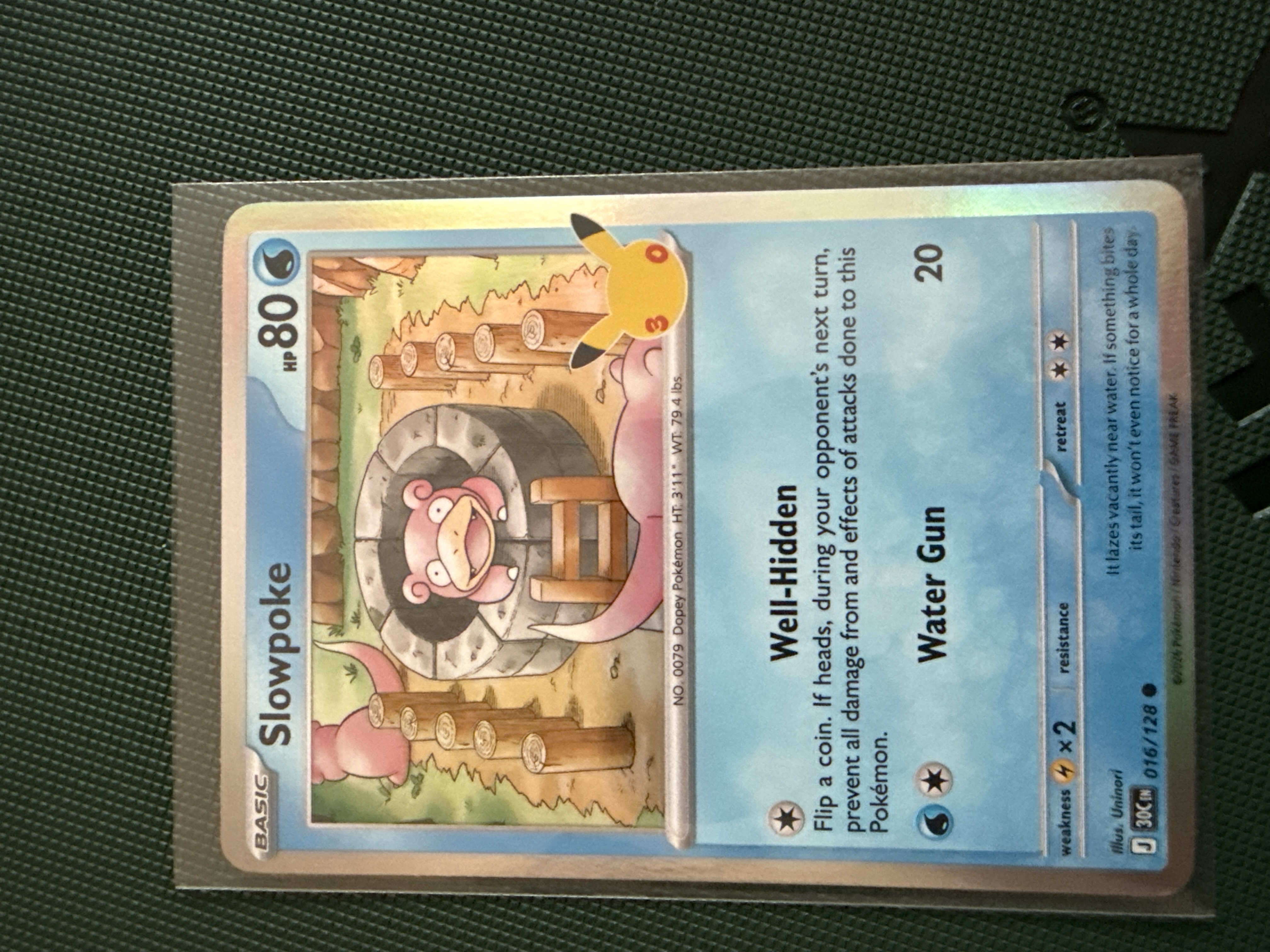 Slowpoke foto 1