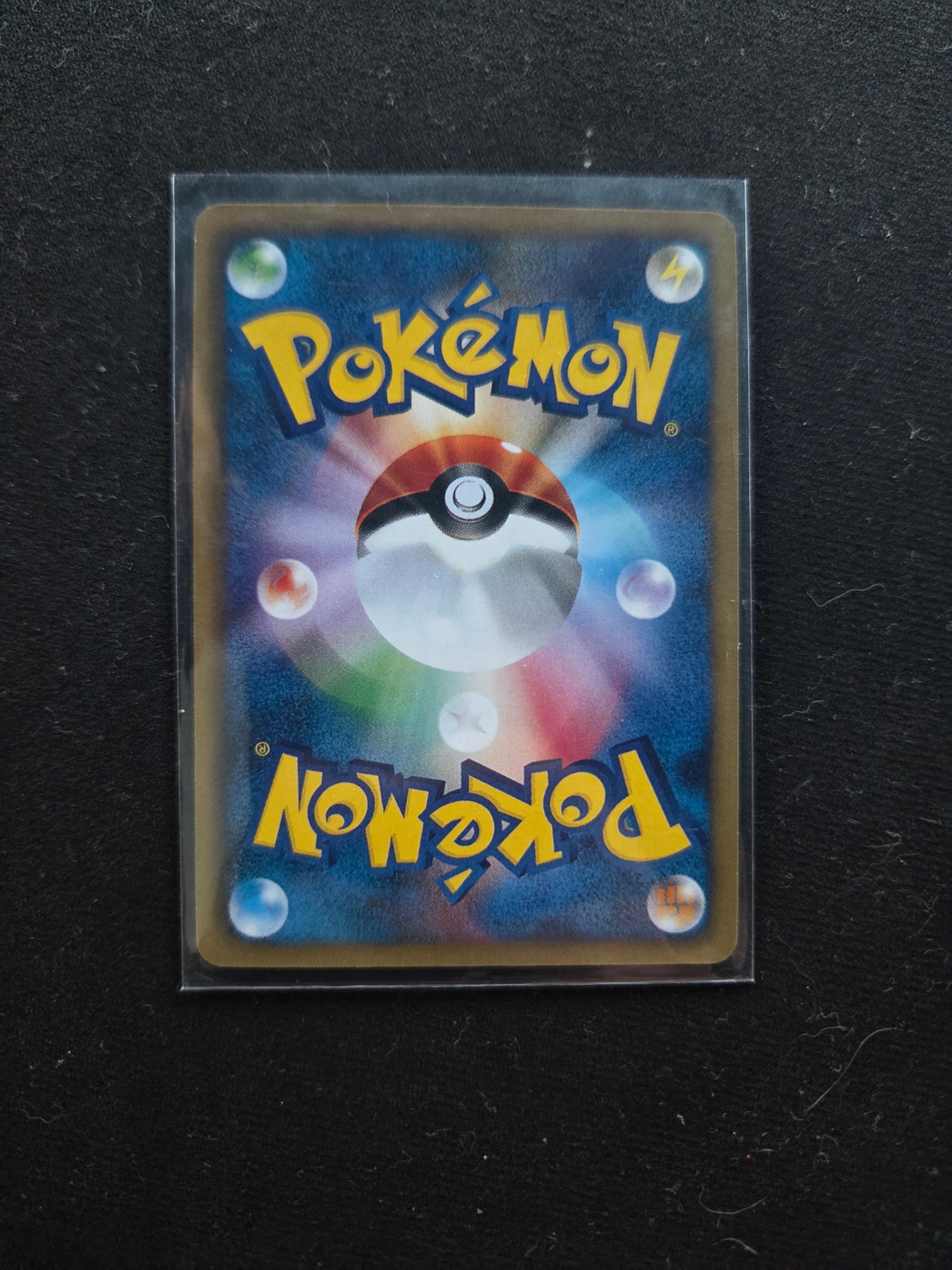 Squirtle foto 2