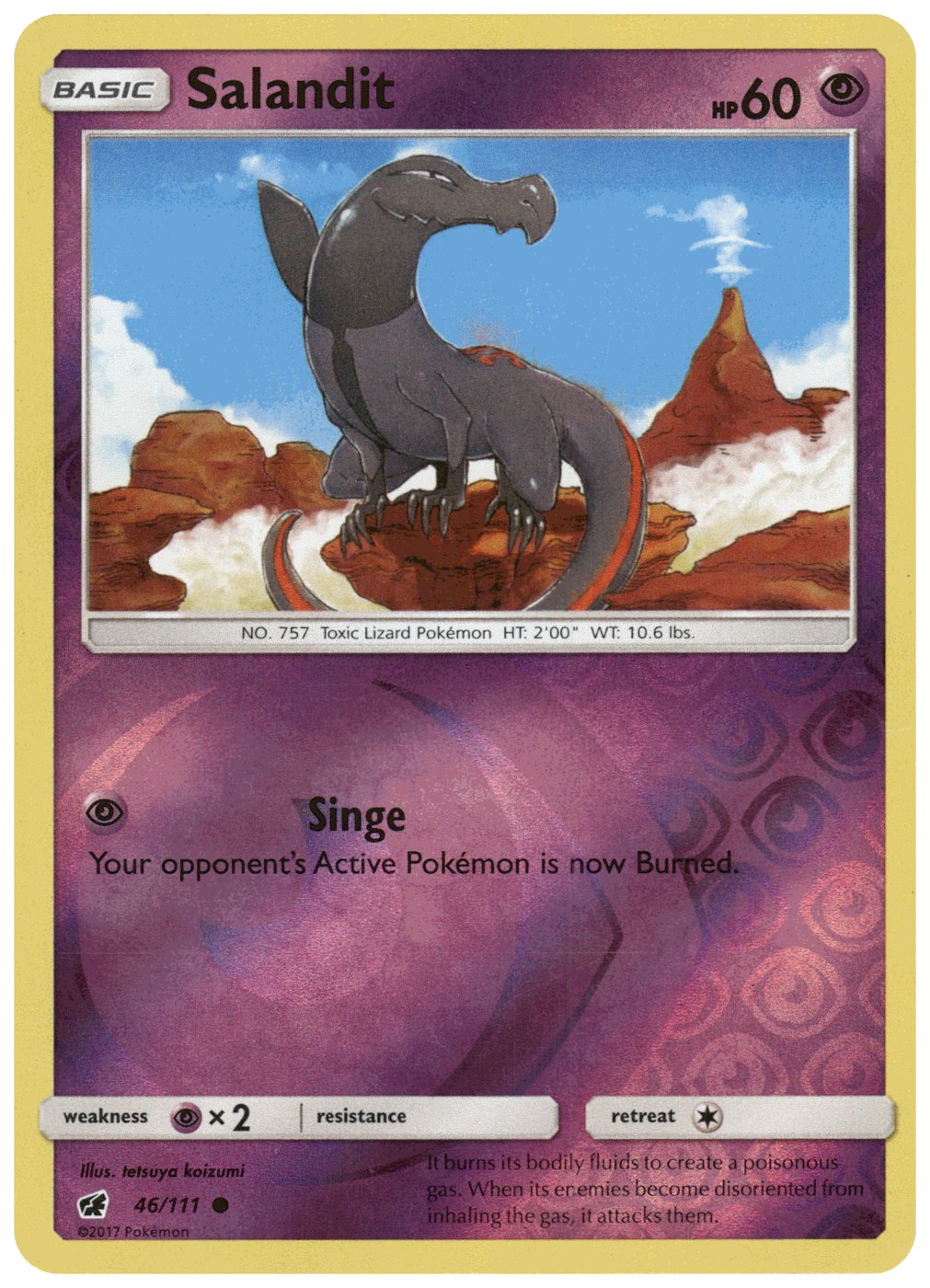 Salandit foto 1