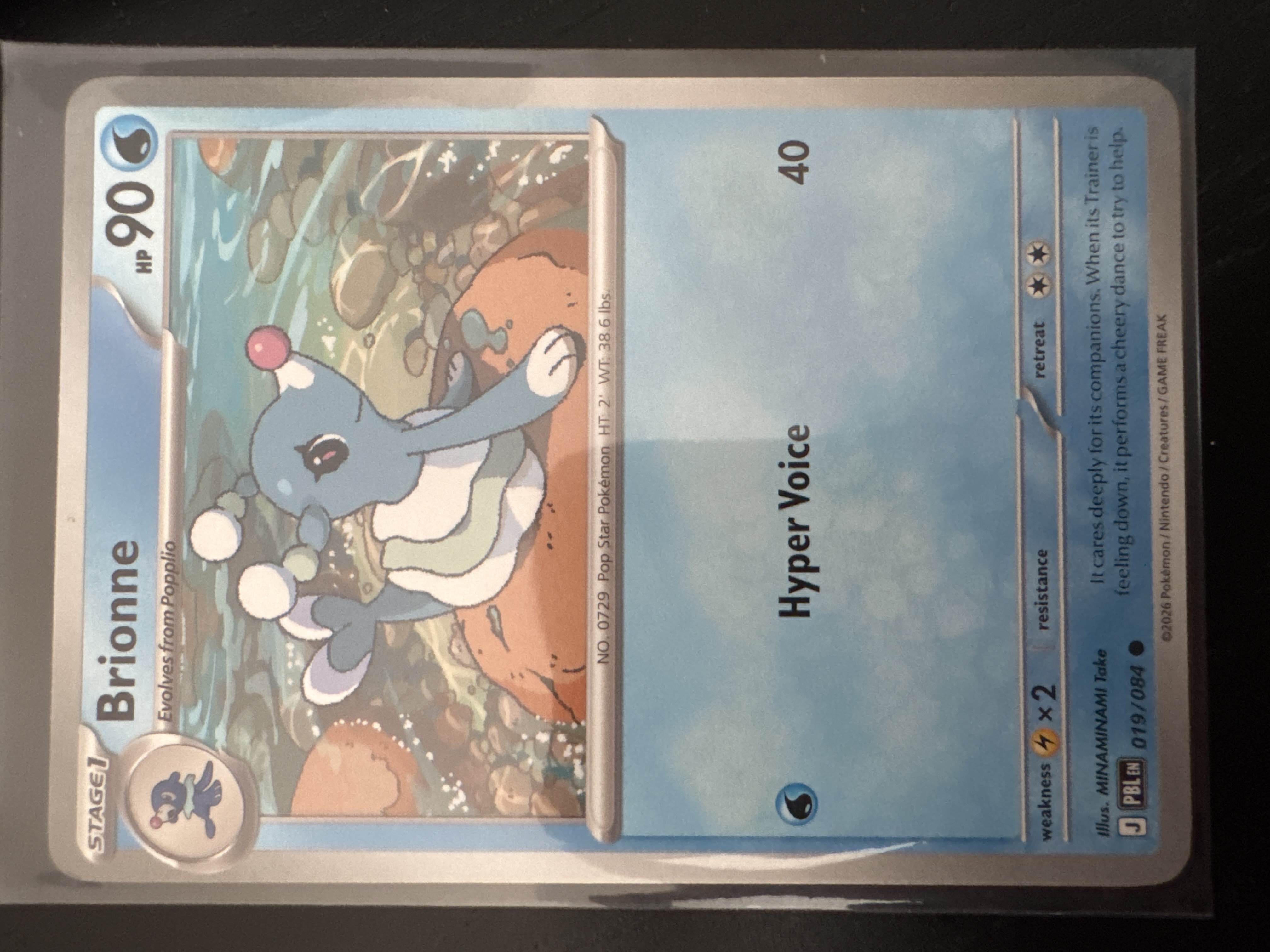 Brionne foto 1