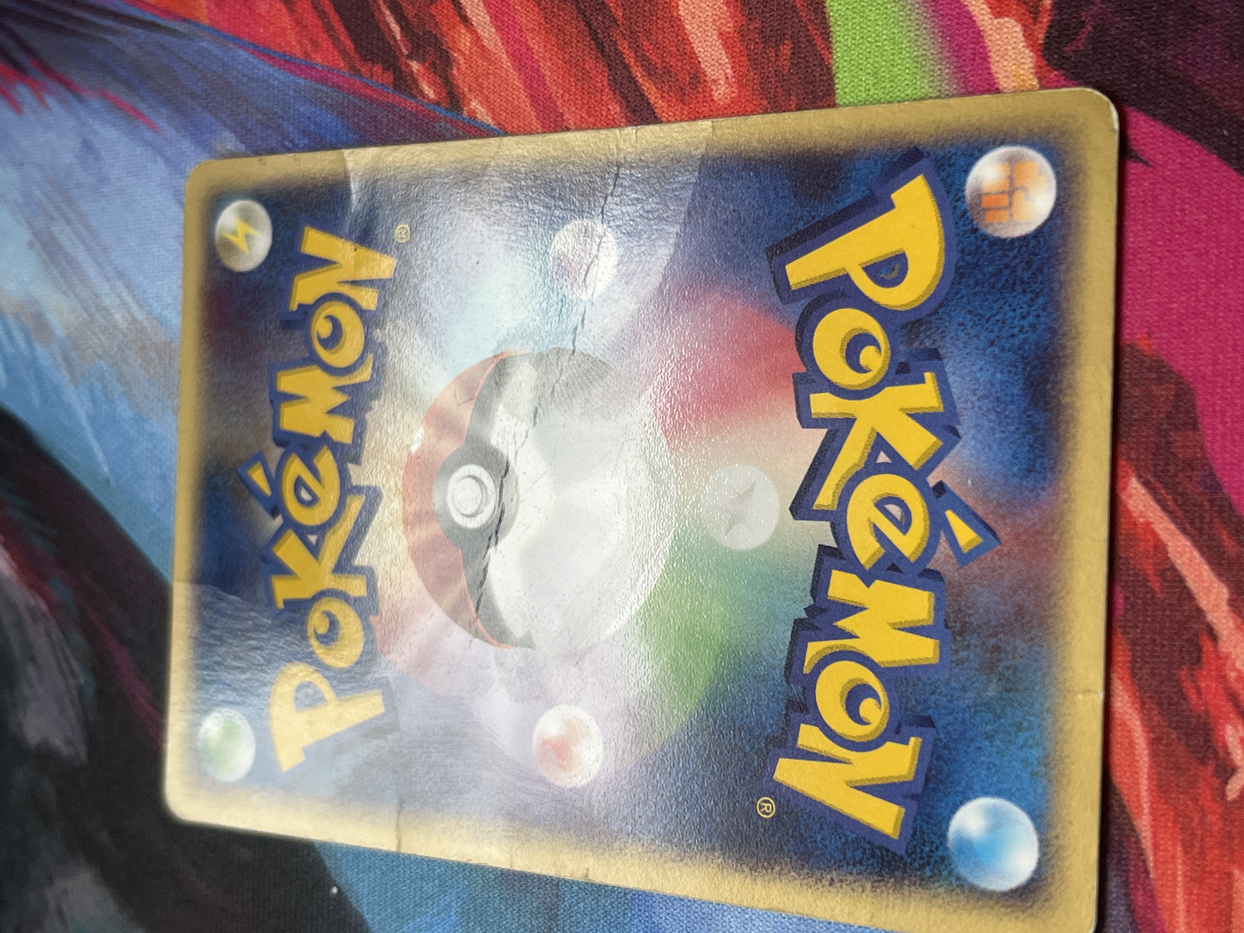 Raichu foto 2
