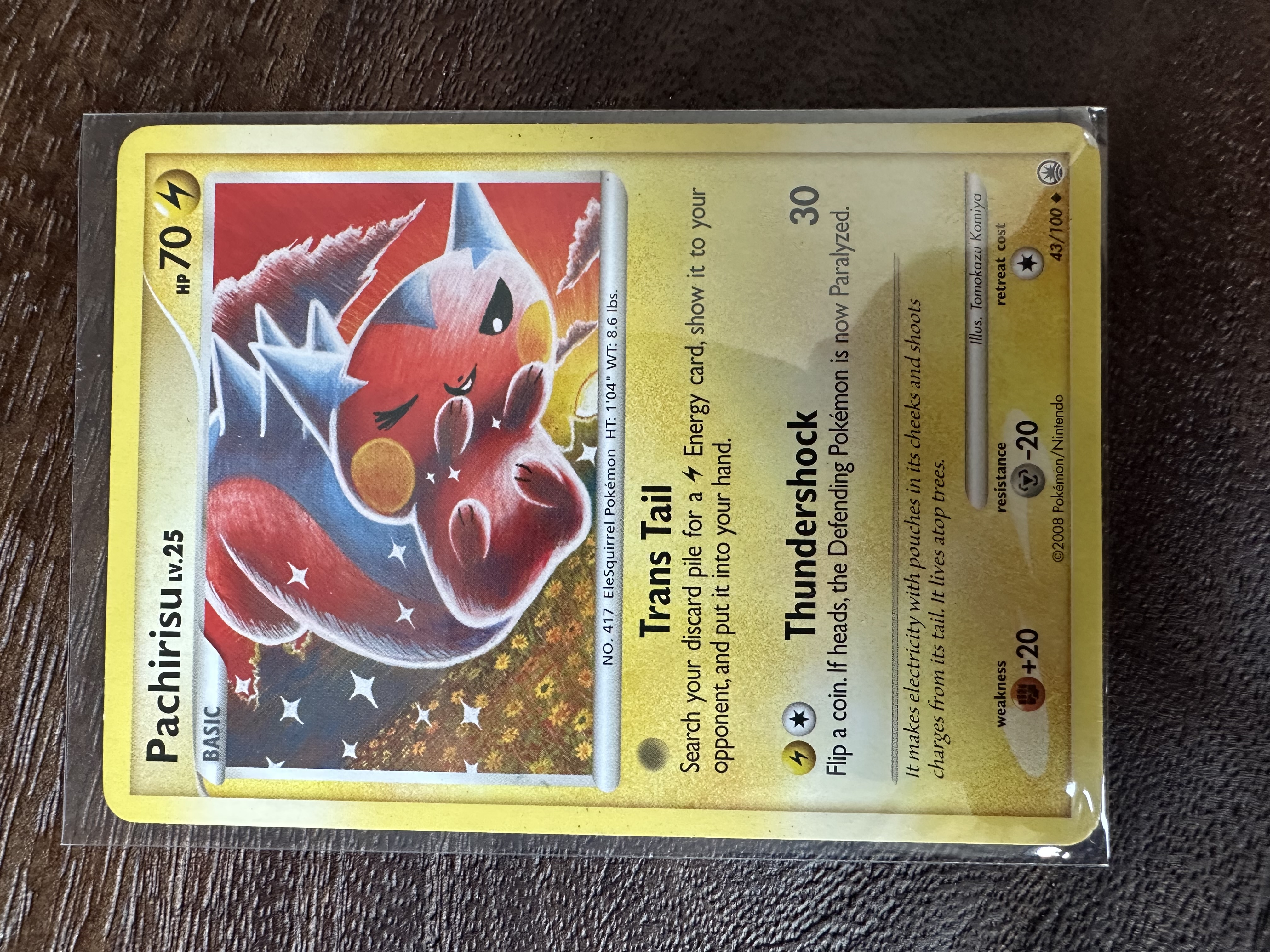 Pachirisu foto 1