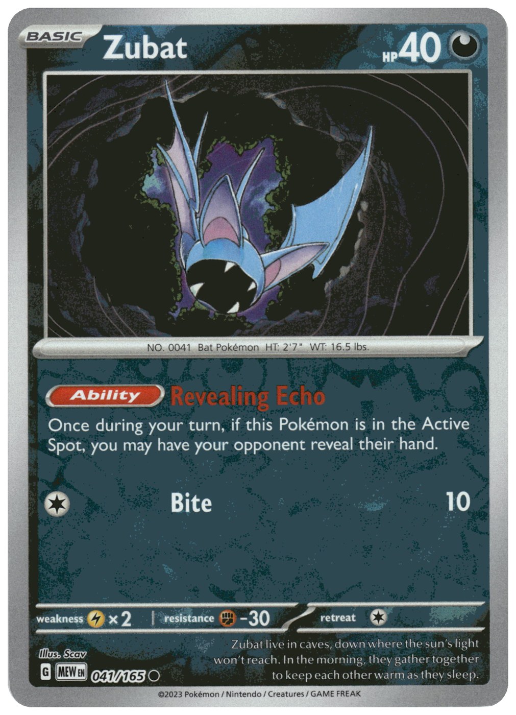 Zubat foto 2