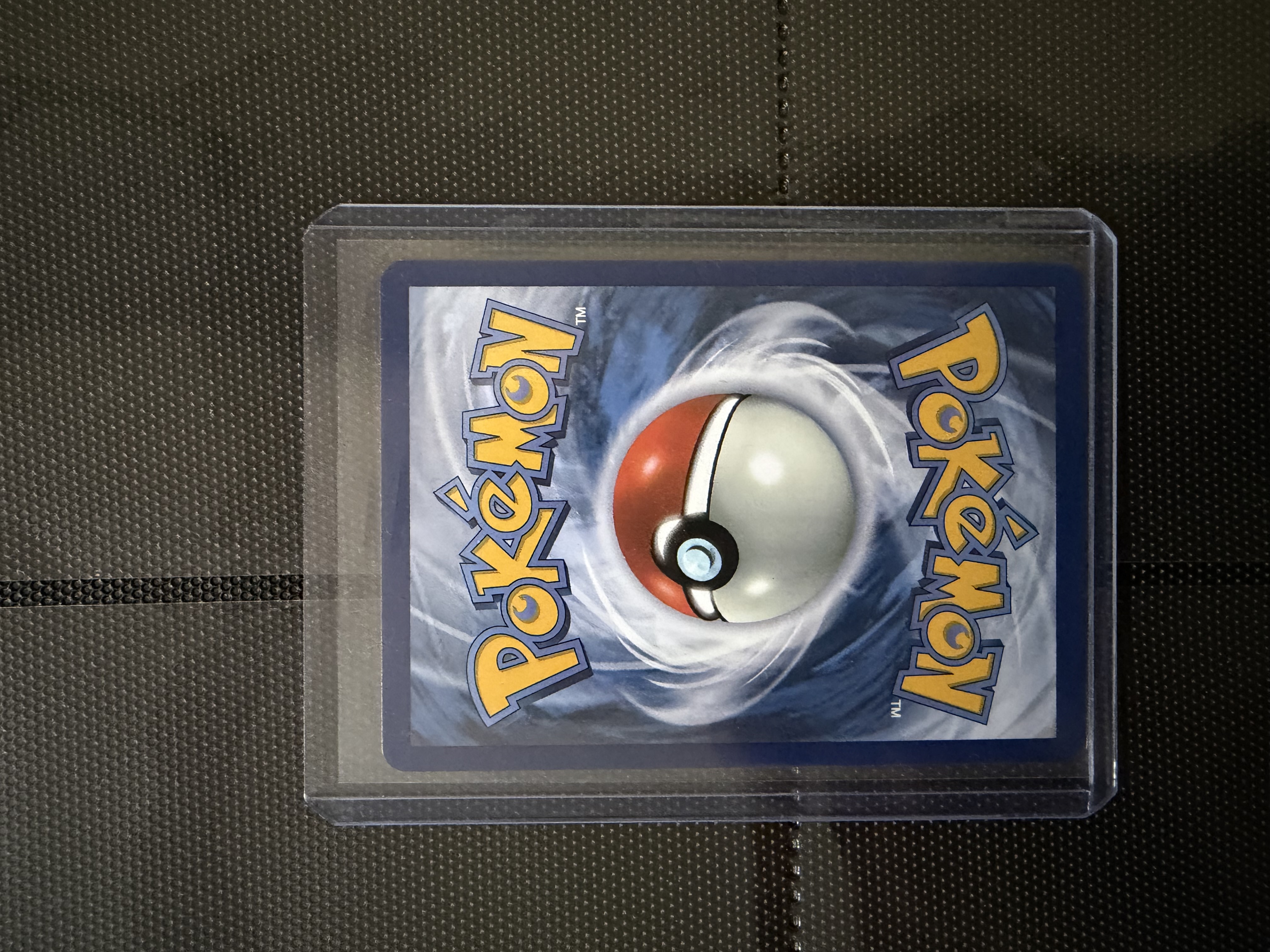 Dewgong foto 3