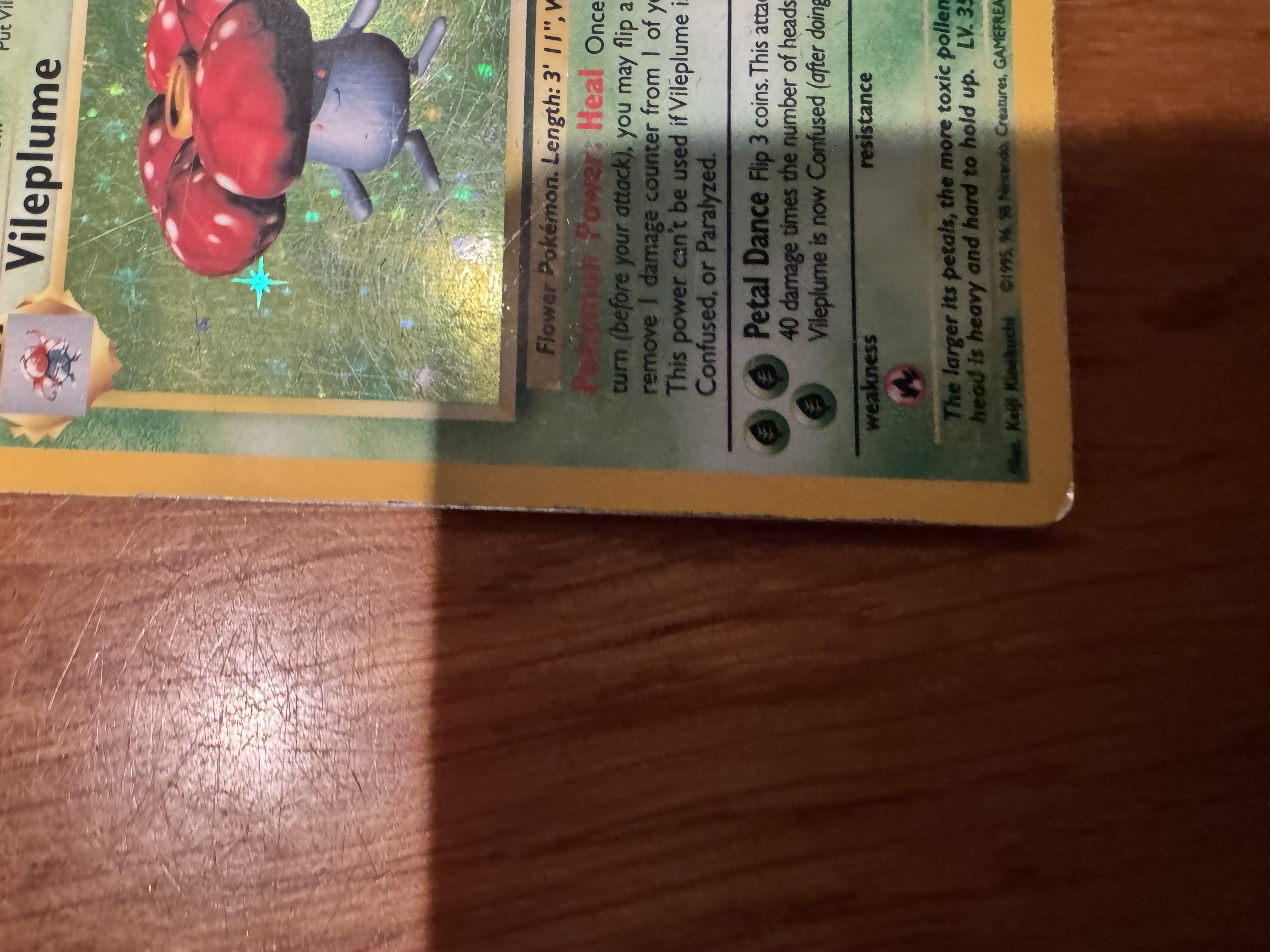 Vileplume foto 10
