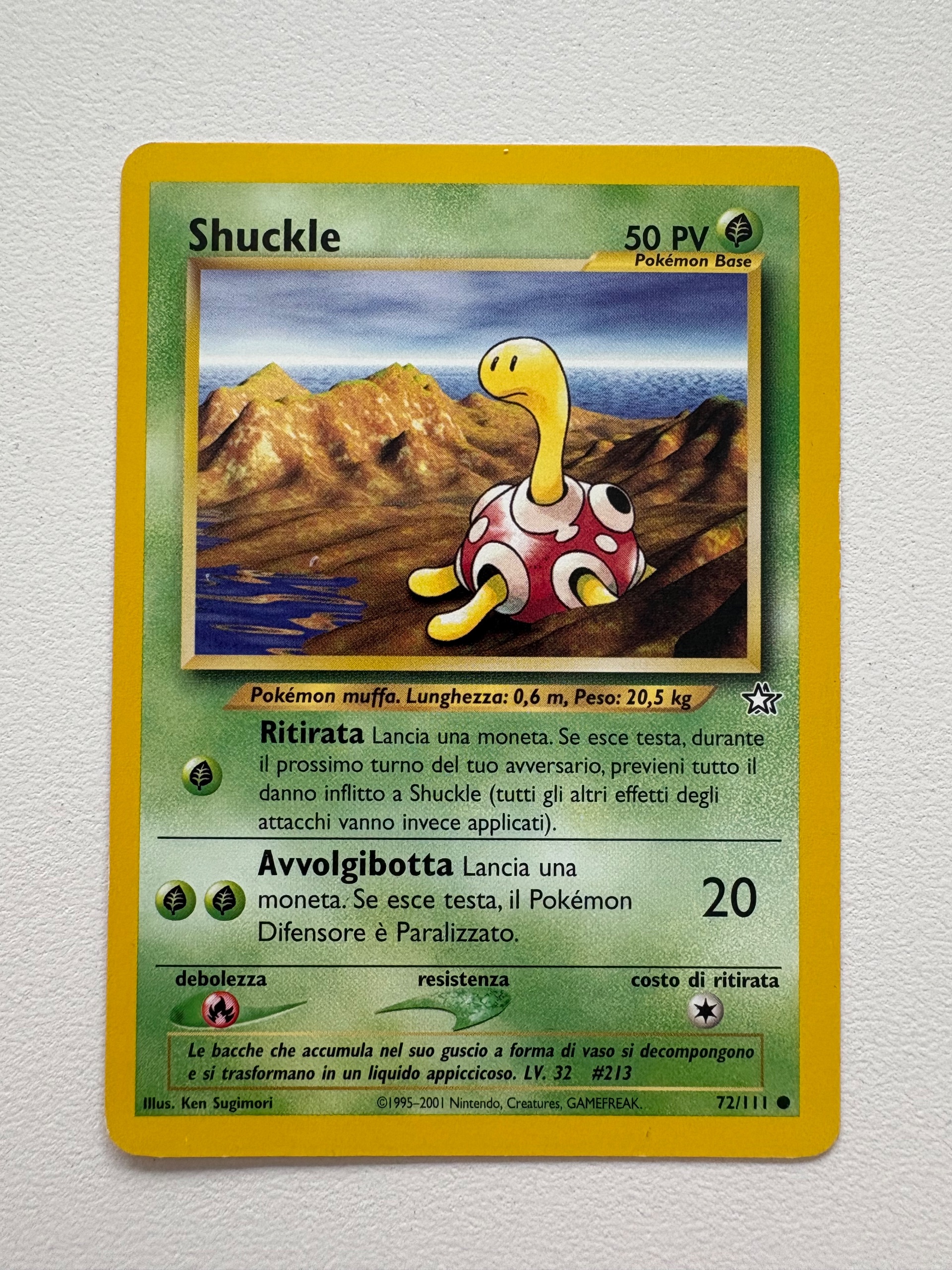 Shuckle foto 1