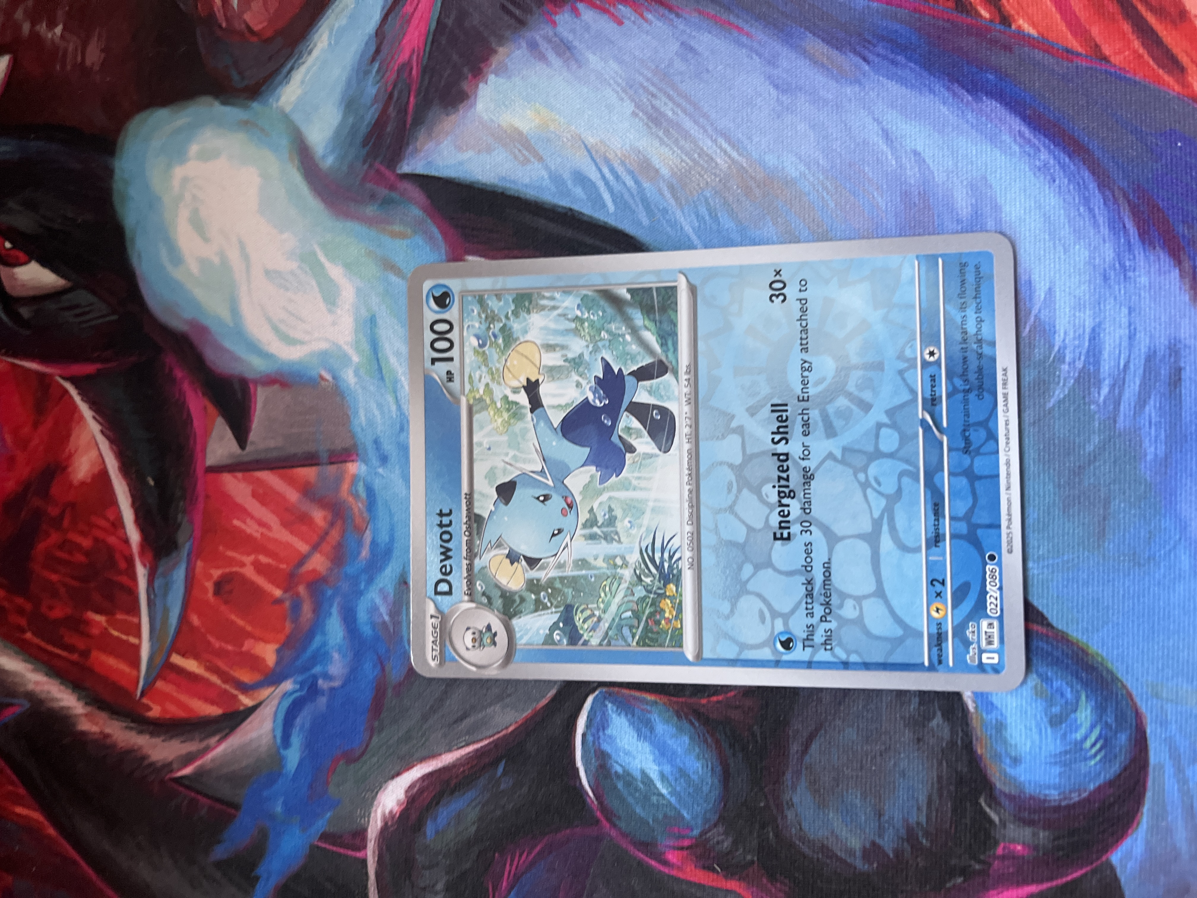 Dewott foto 1