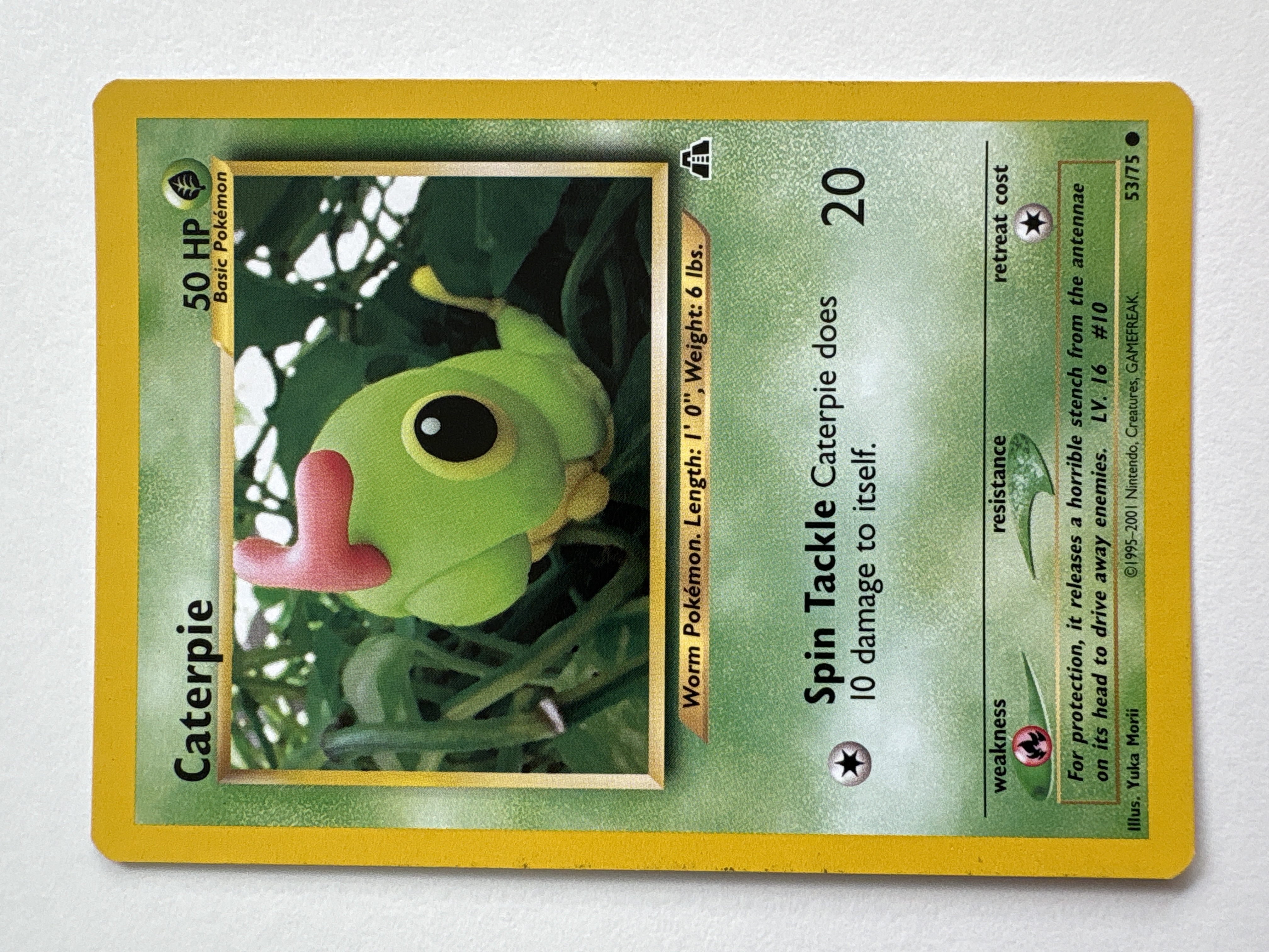 Caterpie