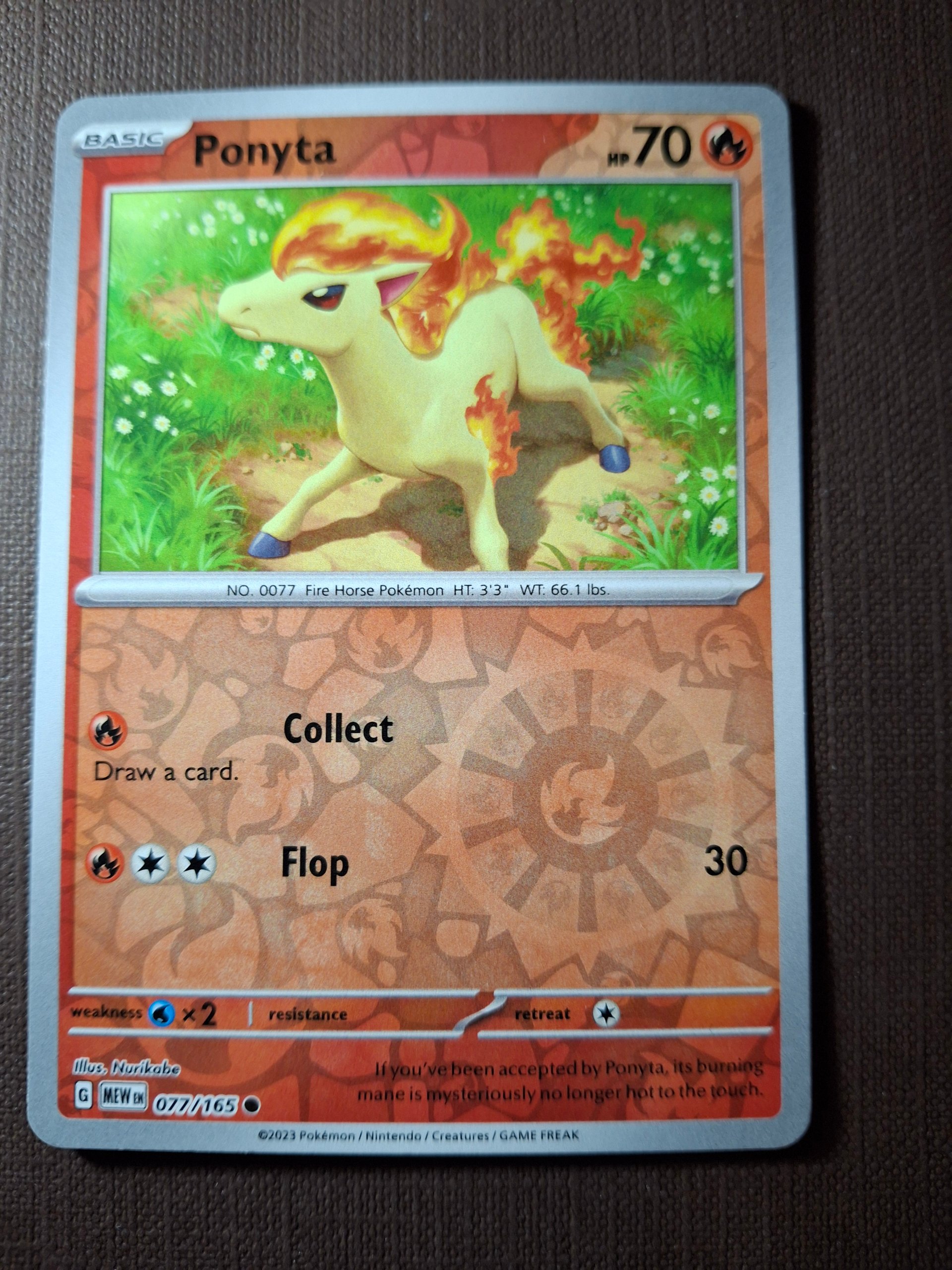Ponyta