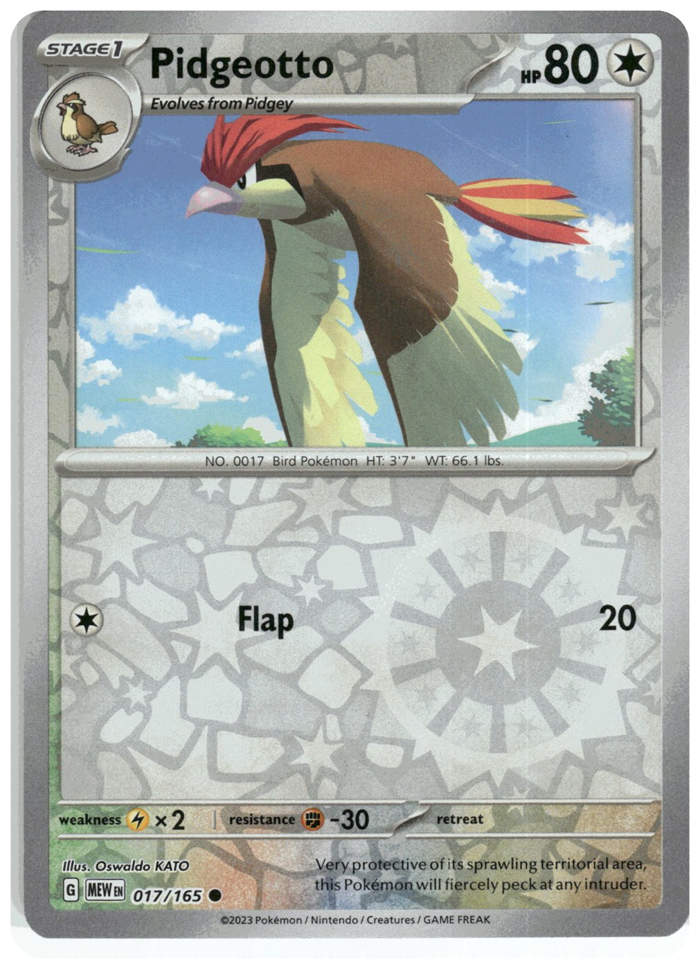Pidgeotto foto 1