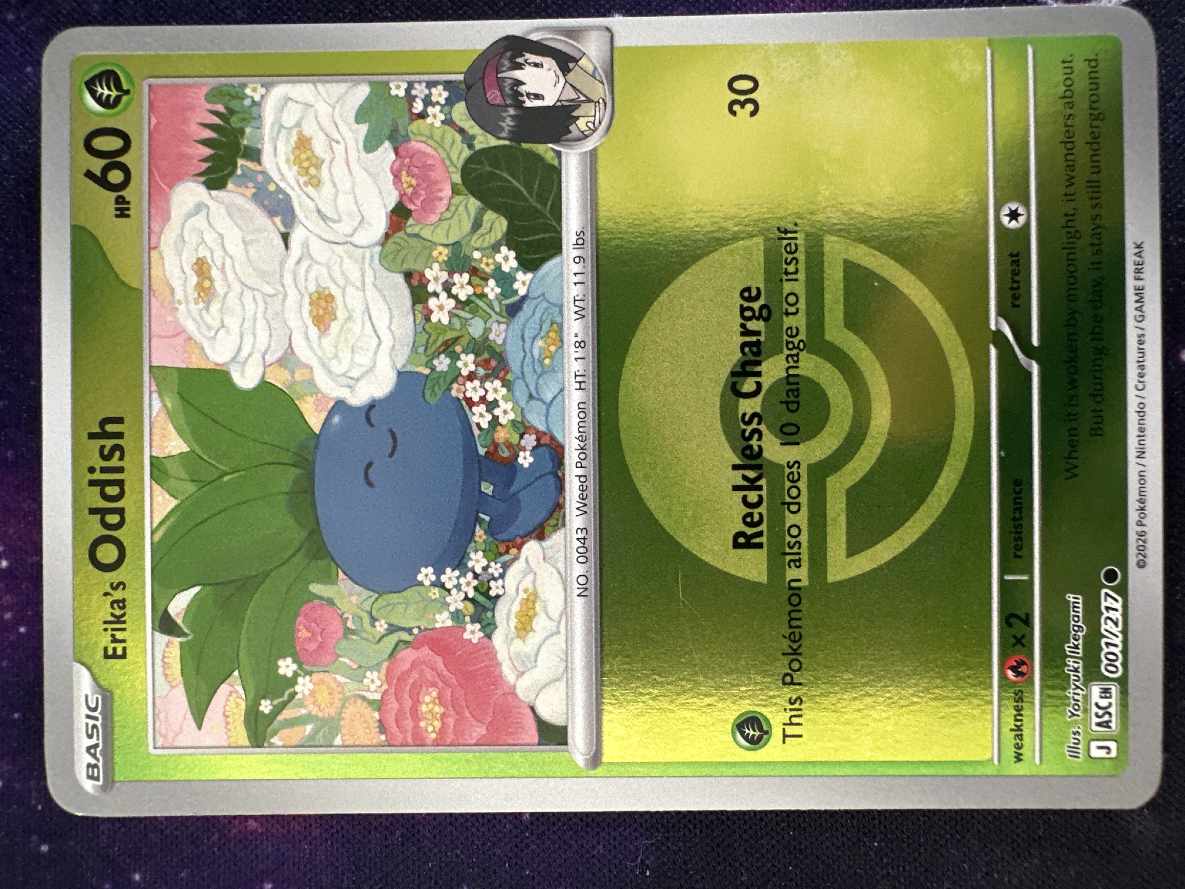 Erika's Oddish