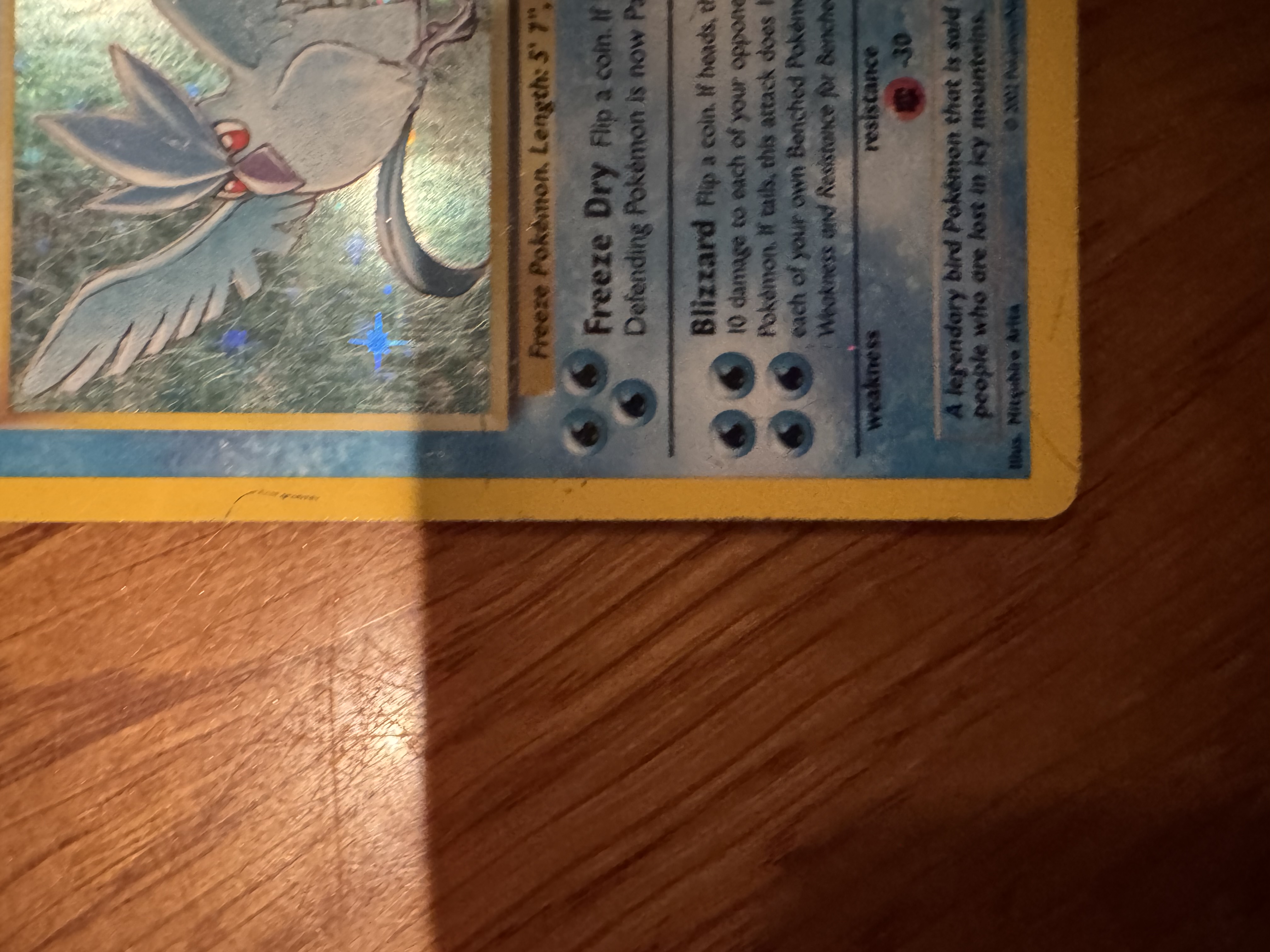 Articuno foto 3