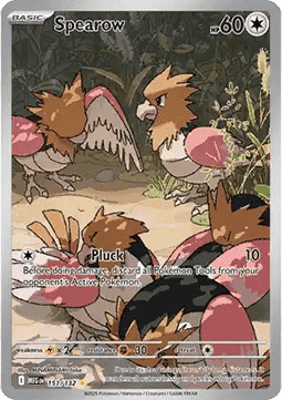 Spearow foto 1