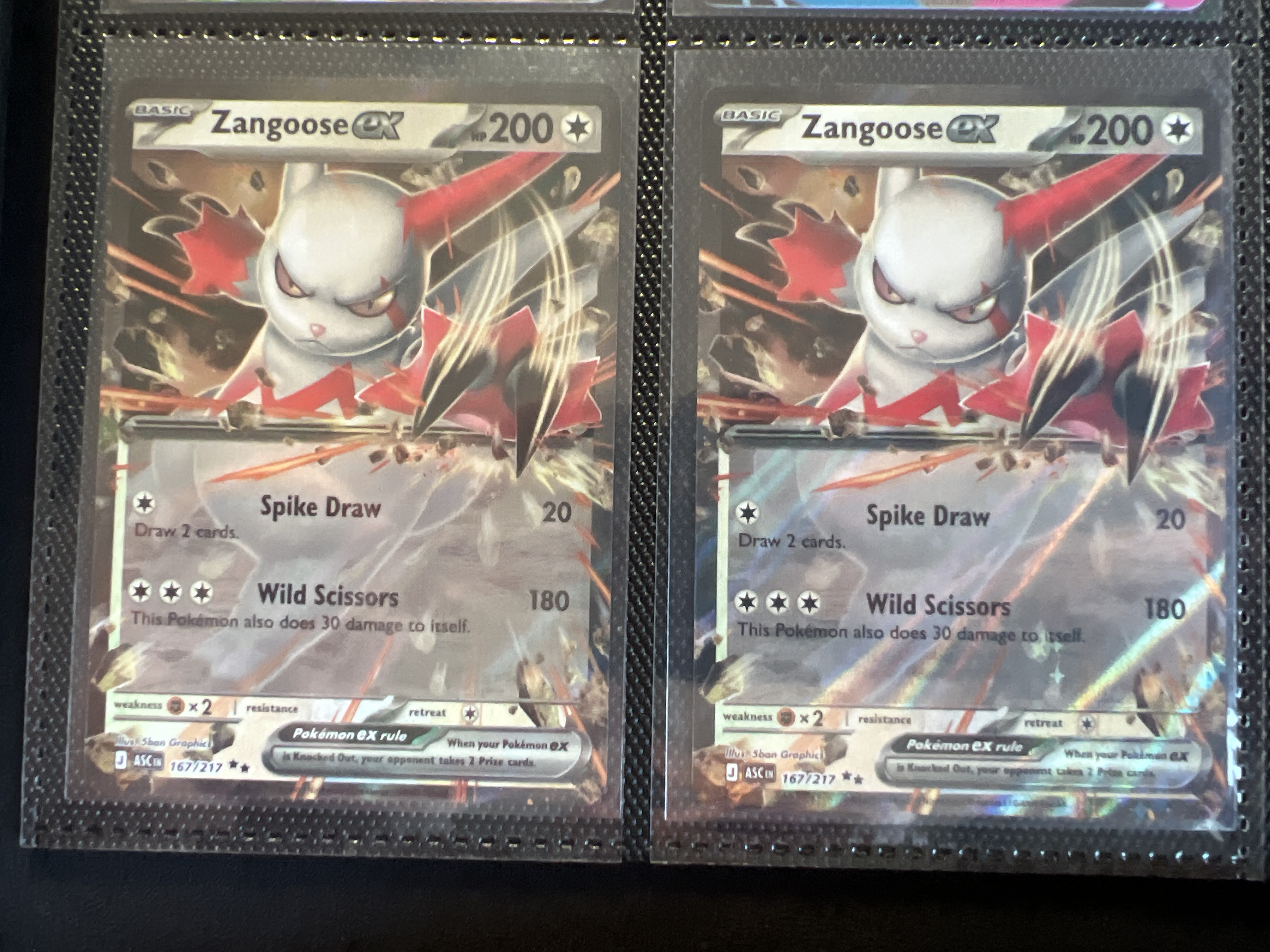 Zangoose ex foto 1