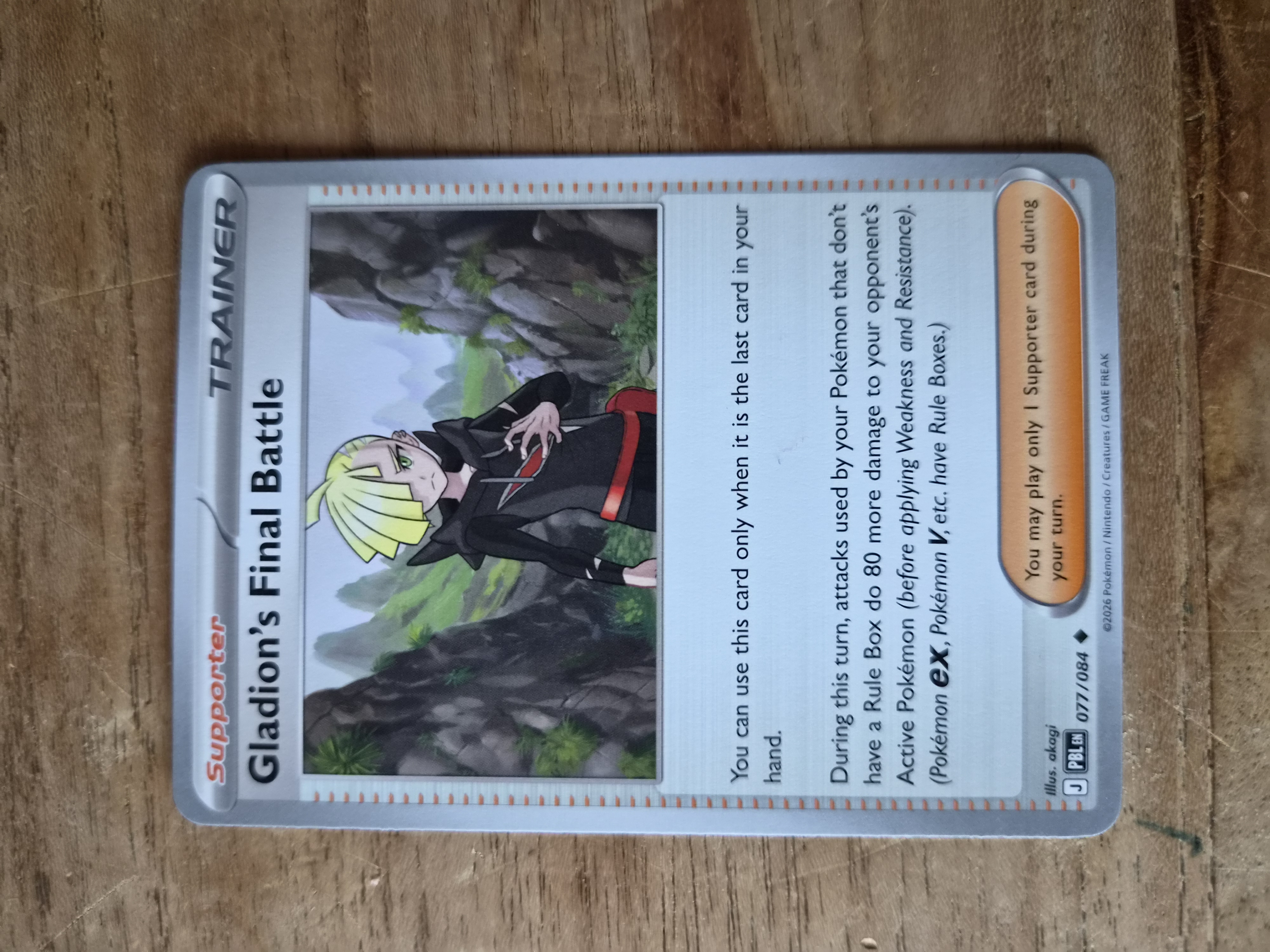 Gladion's Final Battle foto 1