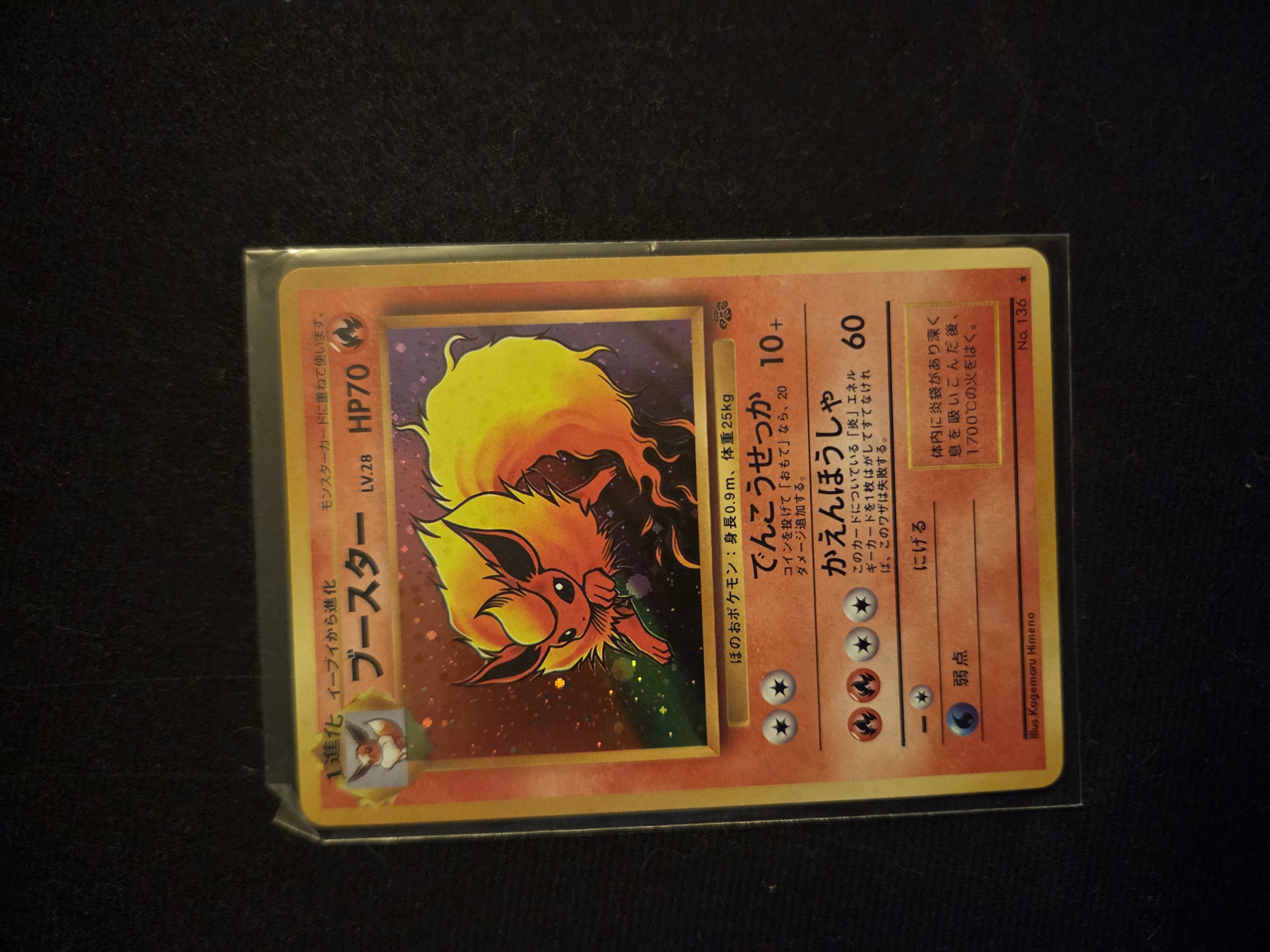 Flareon foto 1
