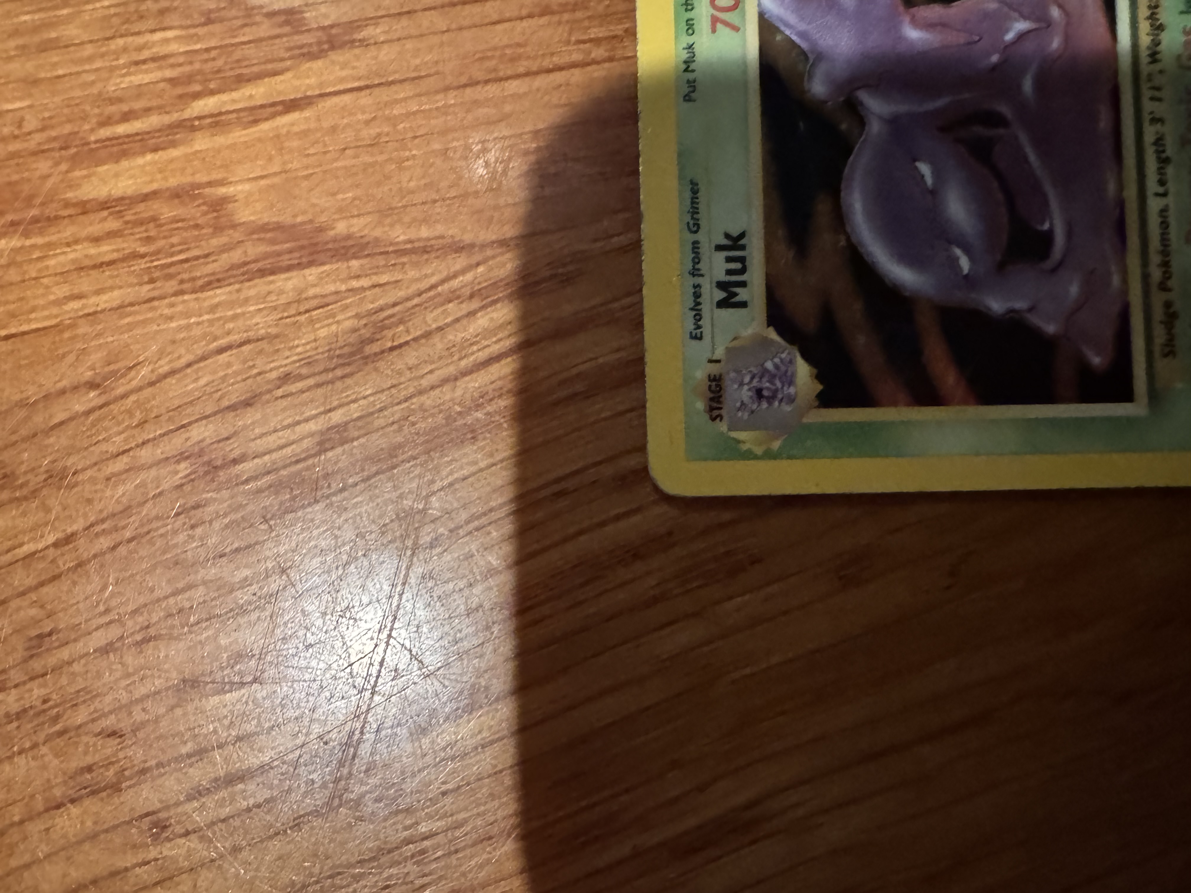 Muk foto 8