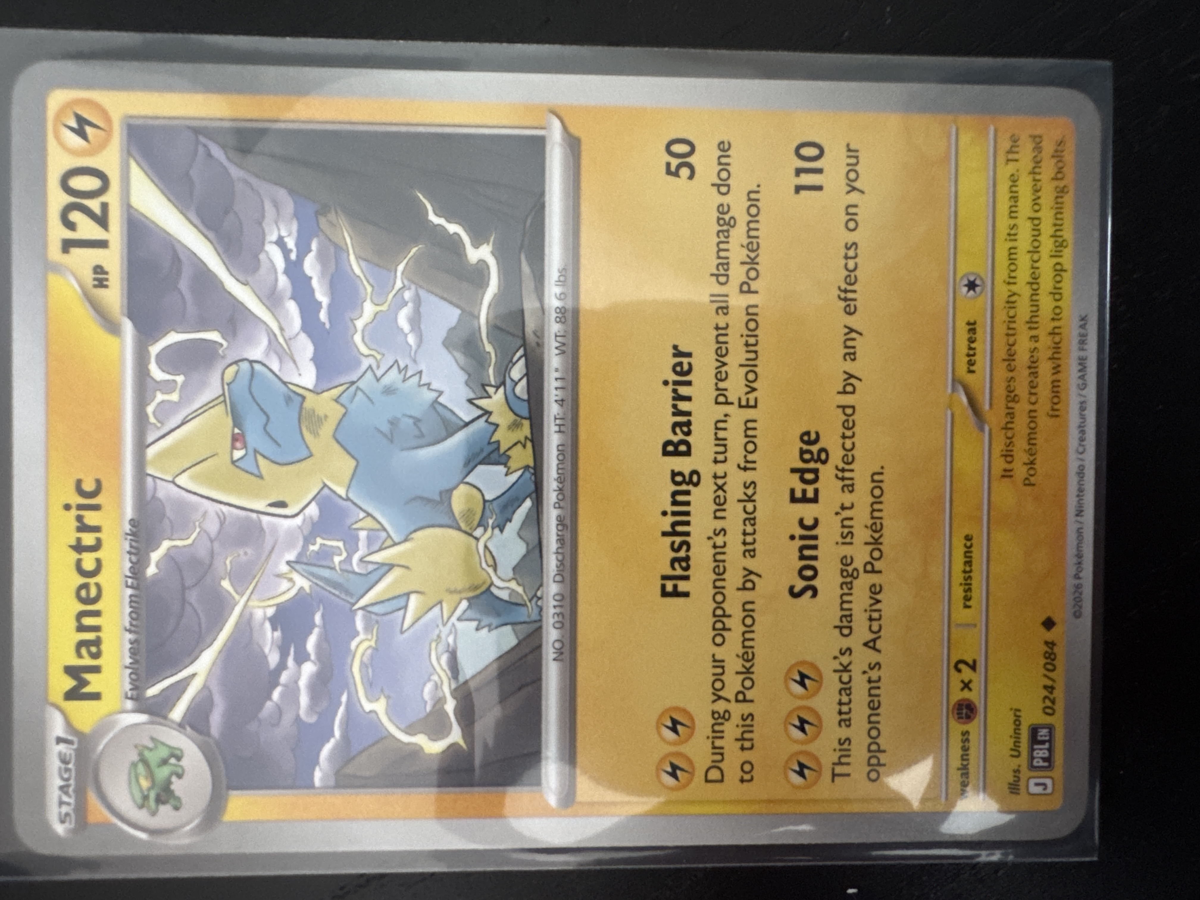 Manectric foto 1