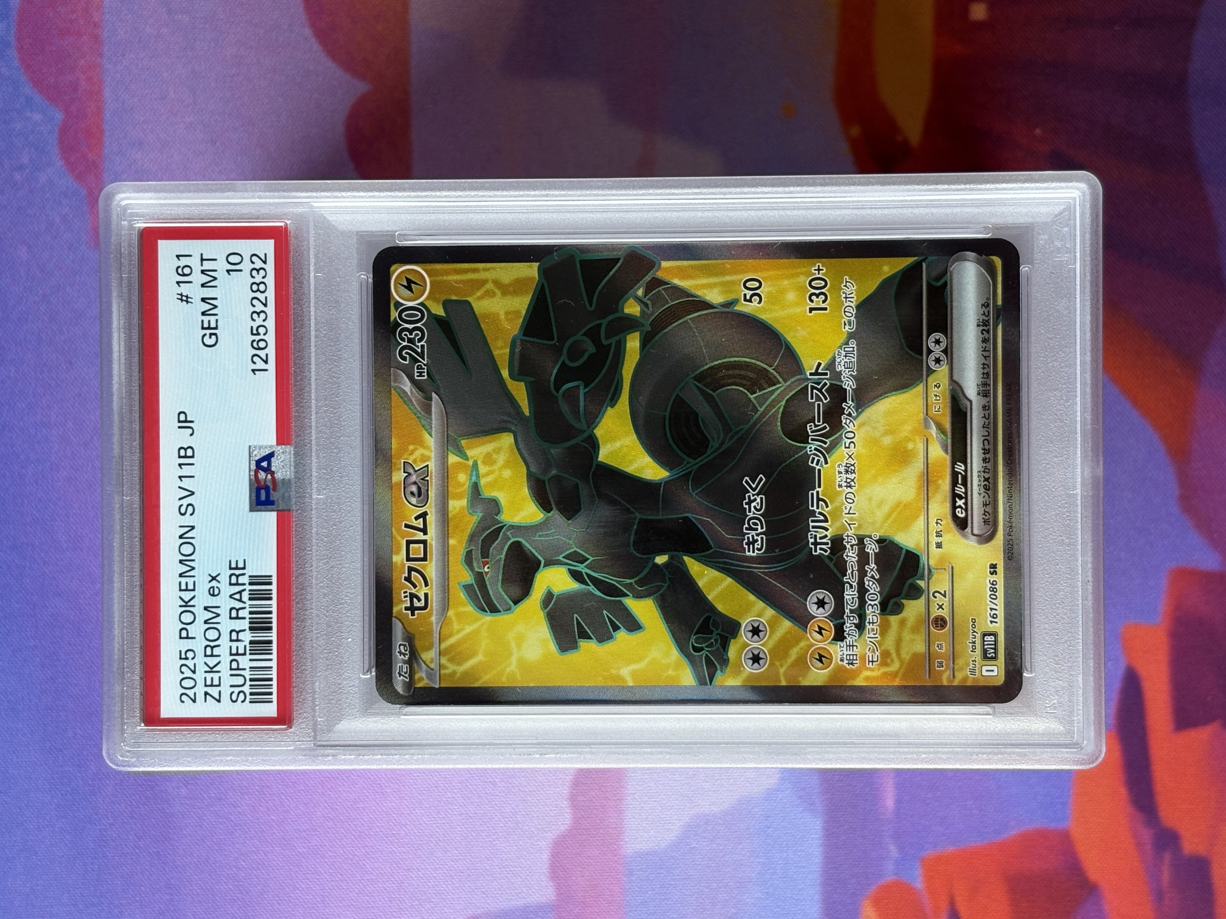 Zekrom ex foto 1