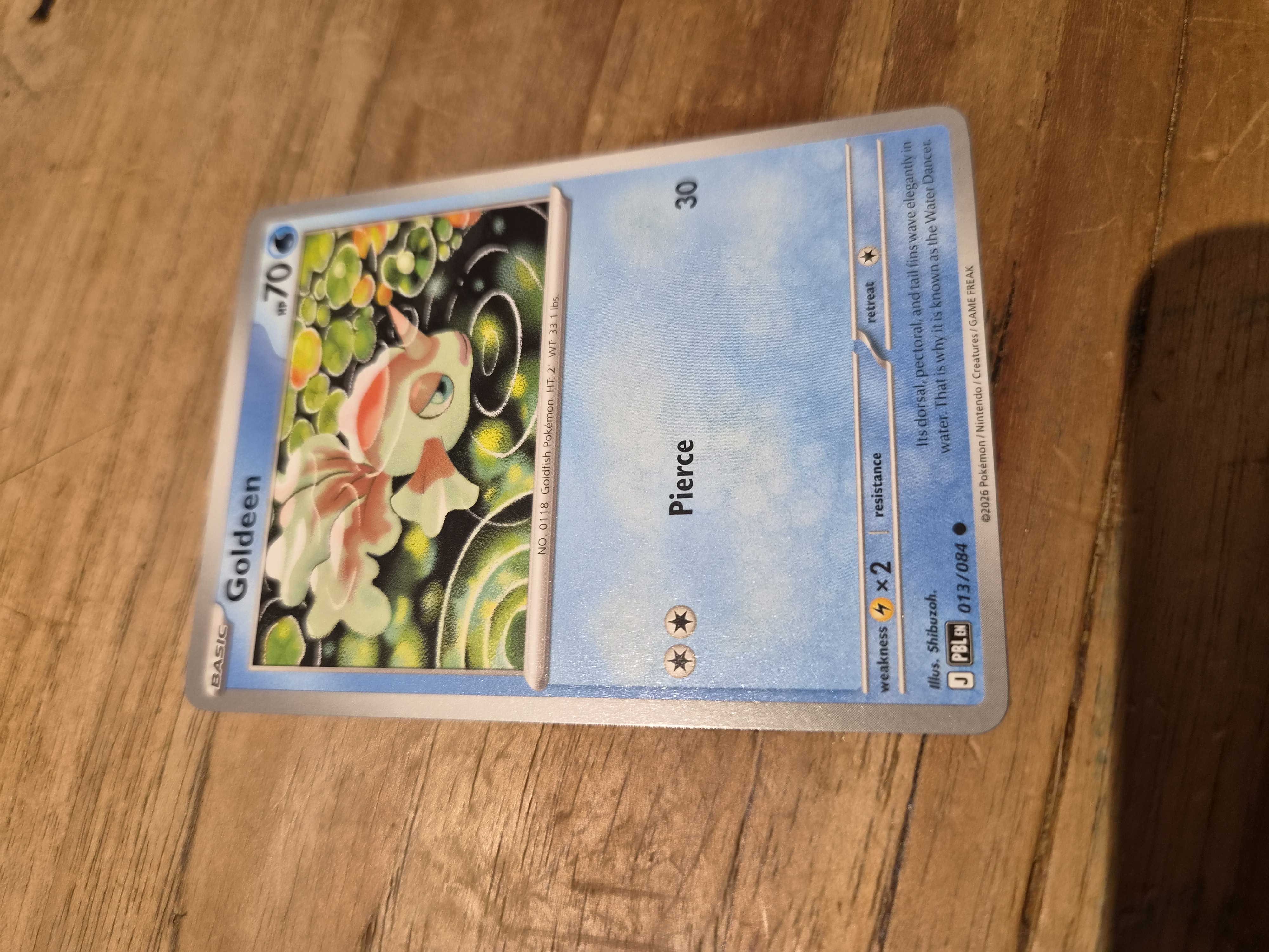 Goldeen foto 1