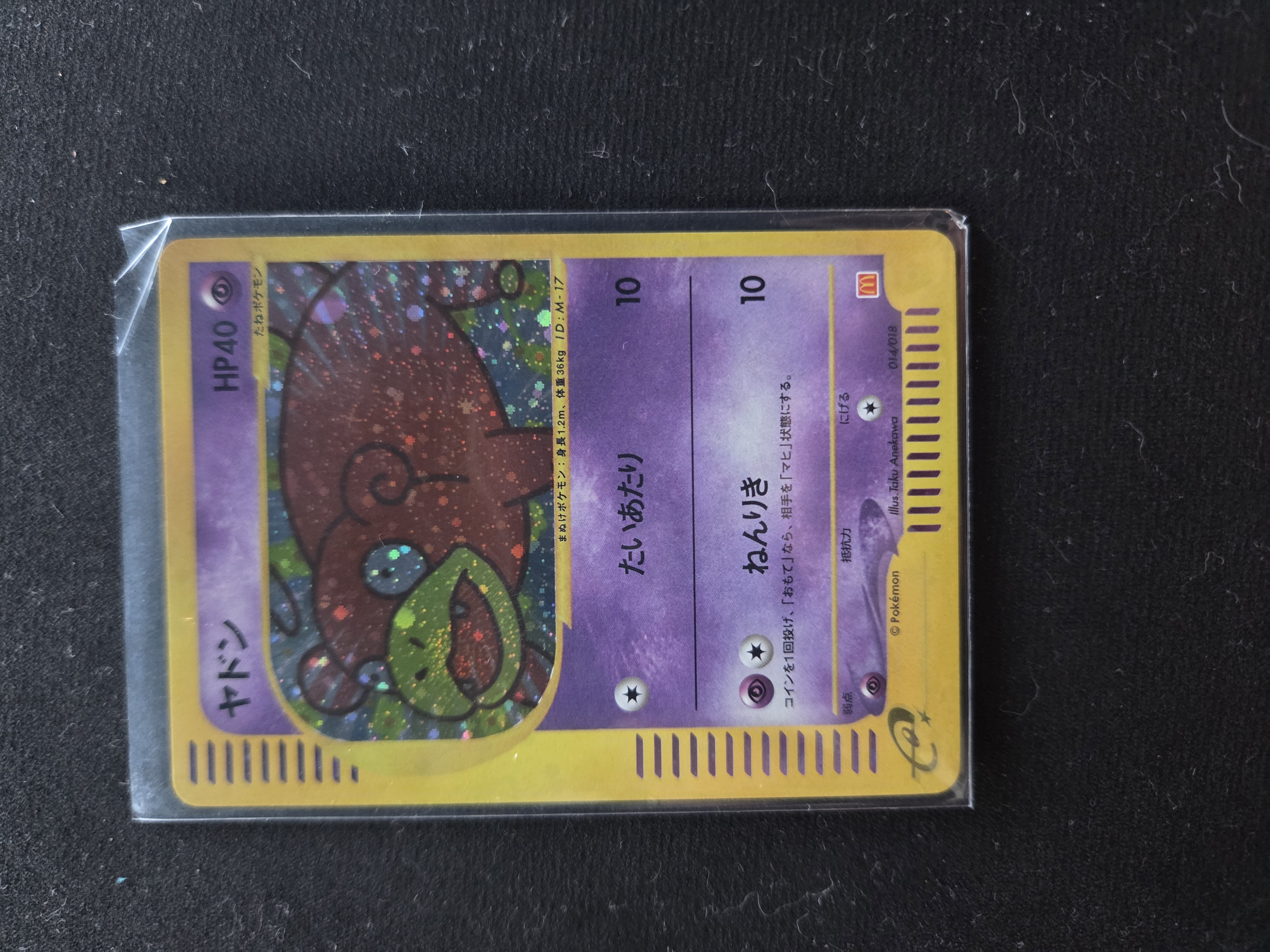 Slowpoke foto 1