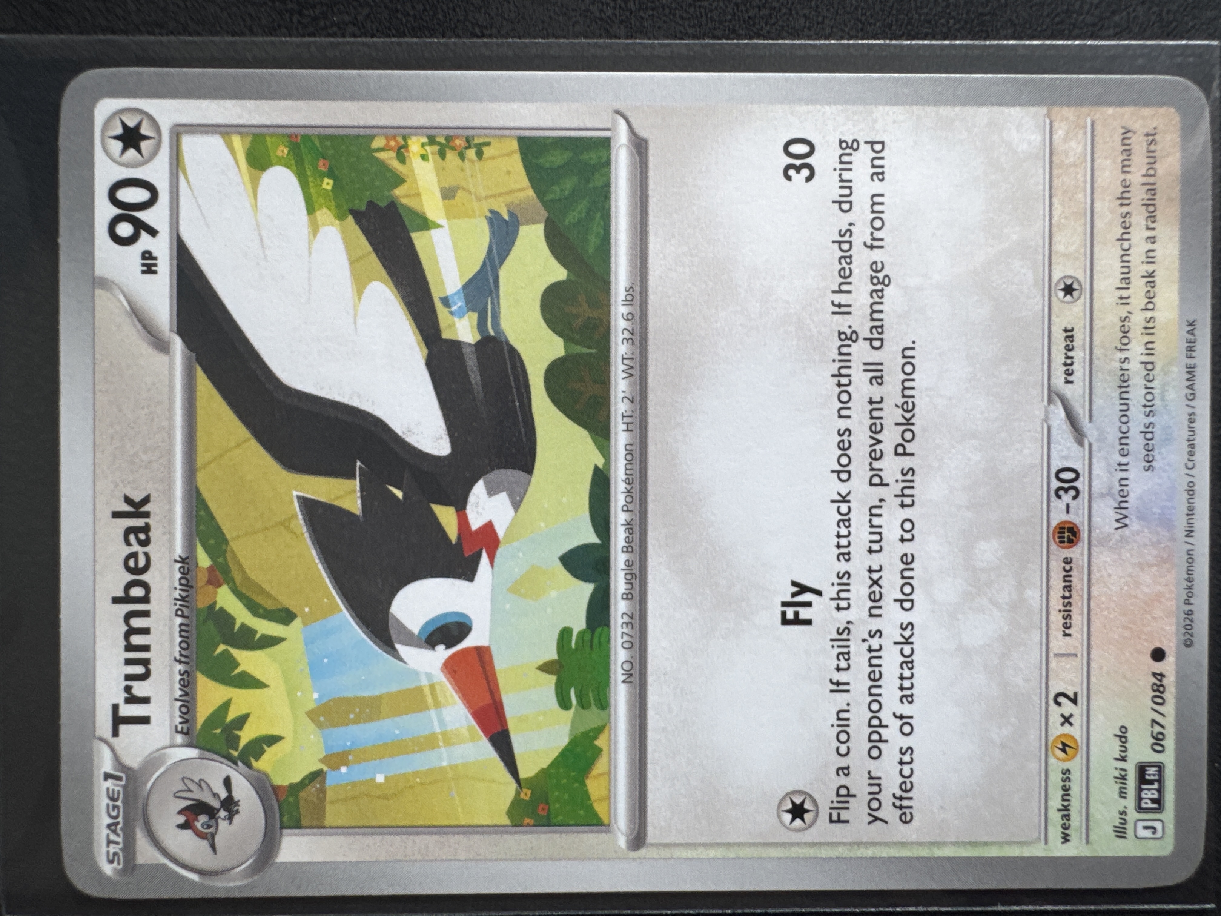 Trumbeak foto 1