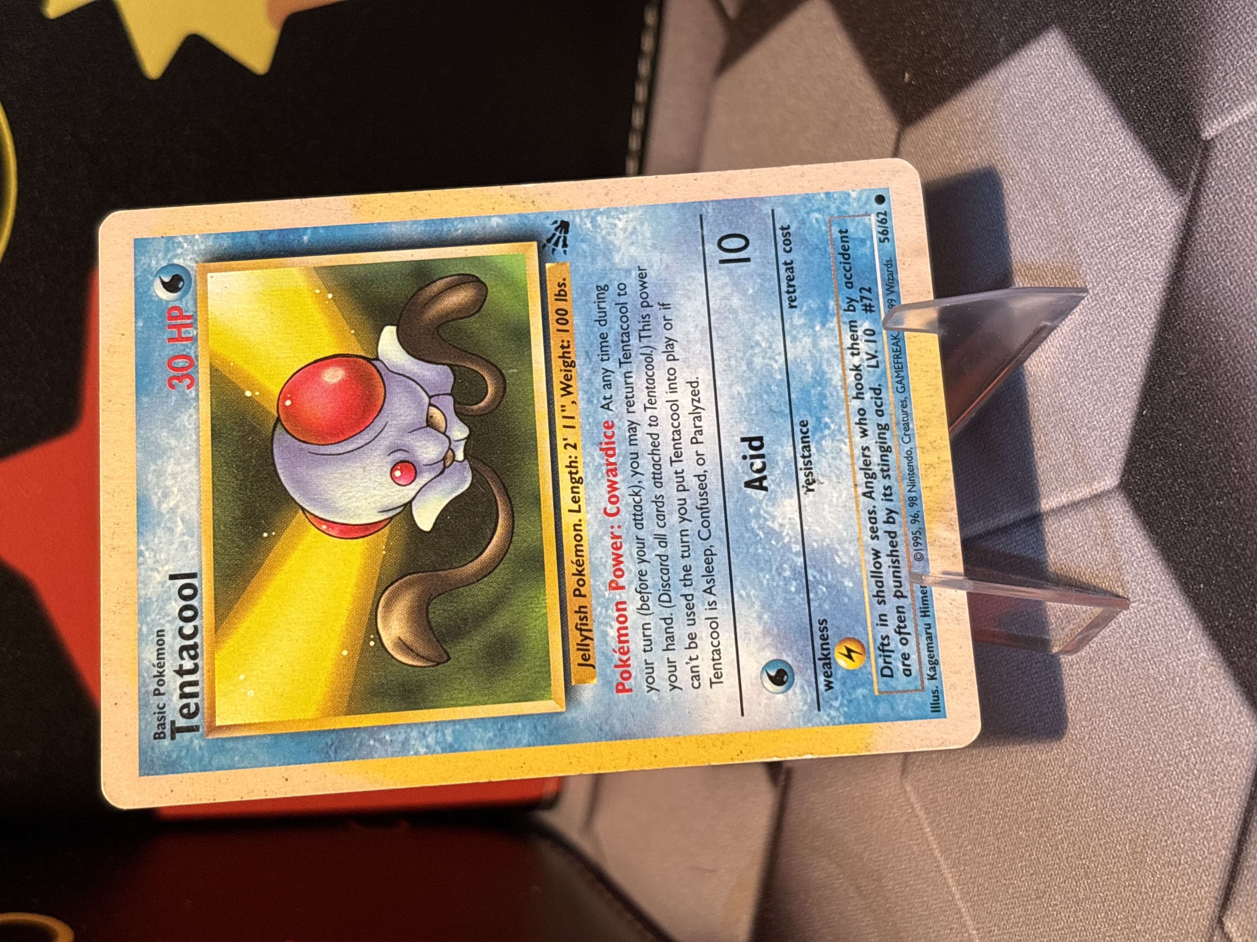 Tentacool foto 1